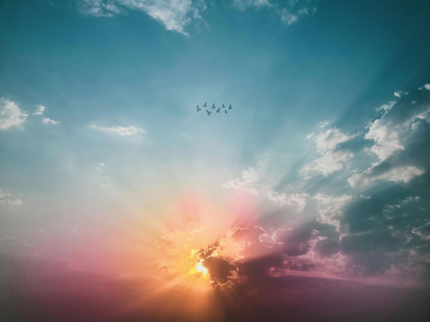 Birds fly across a dramatic sunset sky with clouds glowing in vibrant turquoise and pink hues.