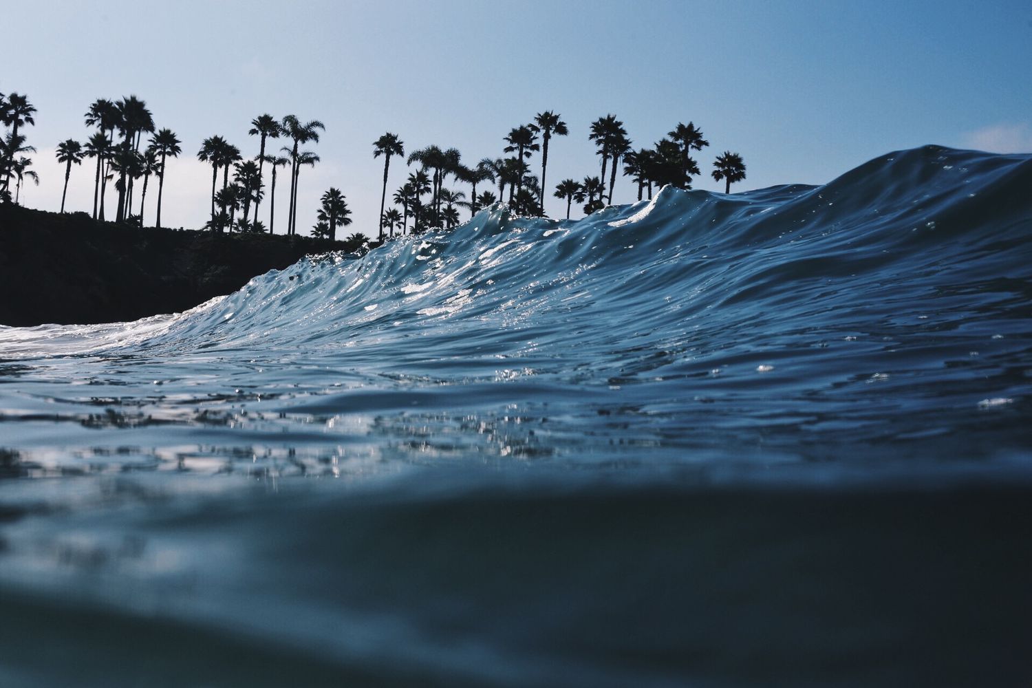 Split water underwater photography of ocean wave curls with palm trees silhouetted against a blue sky in a tropical beach setting.