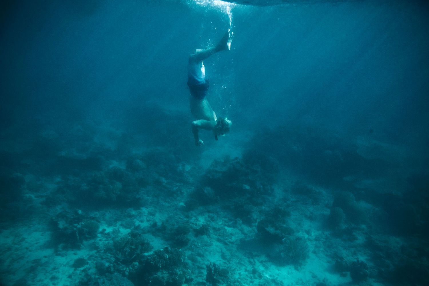 Free diver and underwater photography exploring vibrant coral reefs in crystal-clear turquoise waters off a tropical coast.