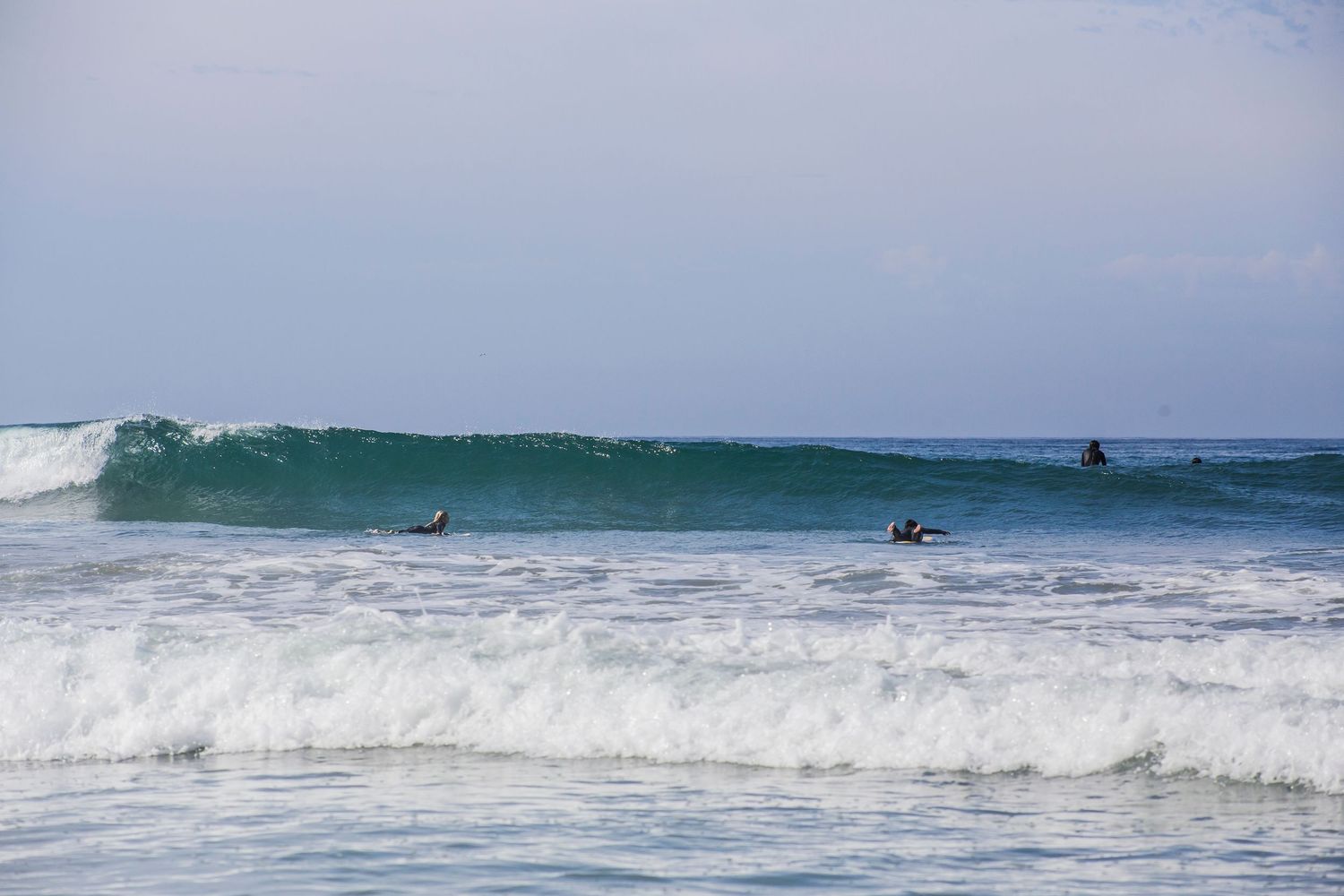 Surfers ride waves in a line up as the ocean as turquoise water crashes against a scenic tropical shoreline.
