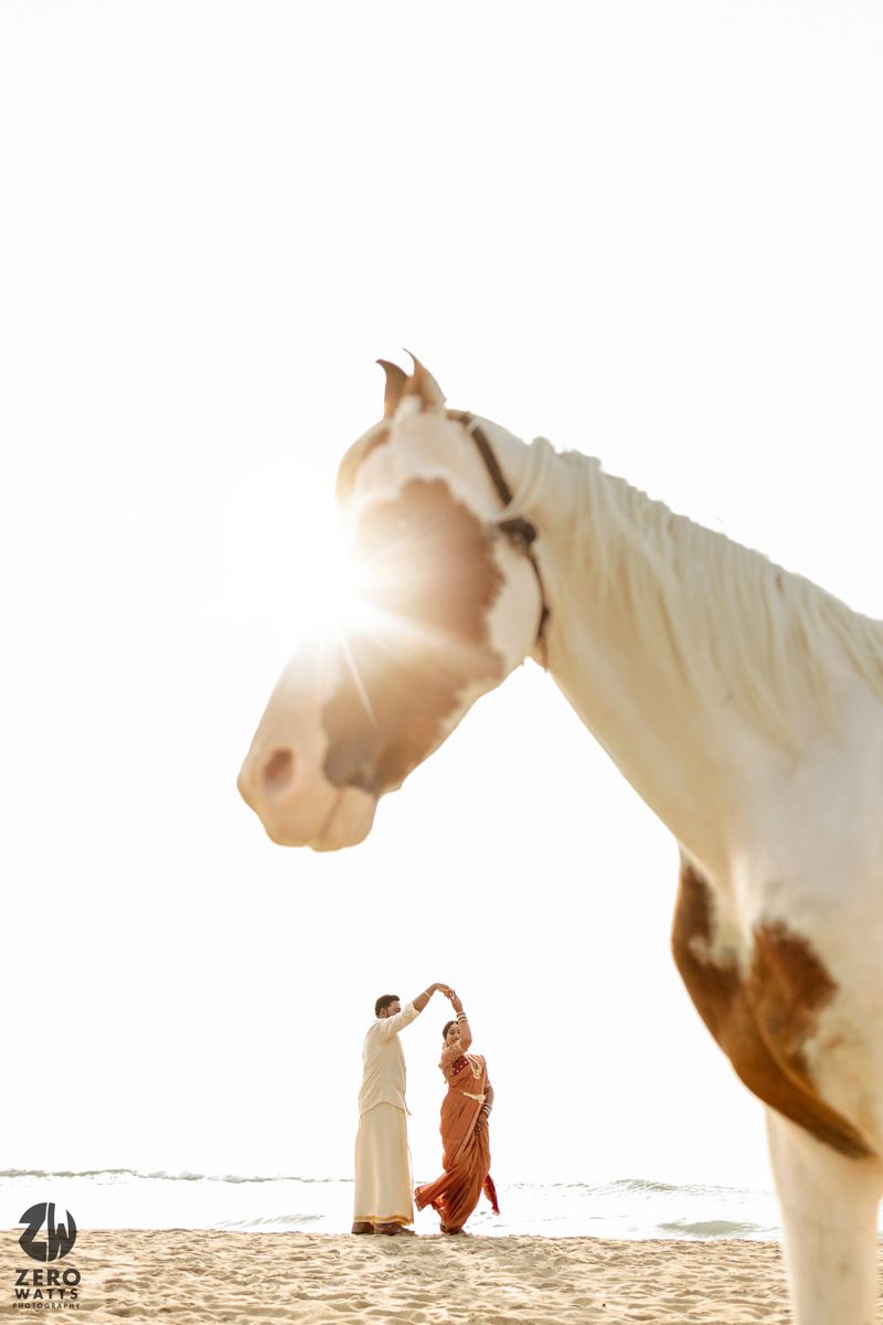 A white horse stands in the foreground while two figures dance together on a sunny beach in the background.