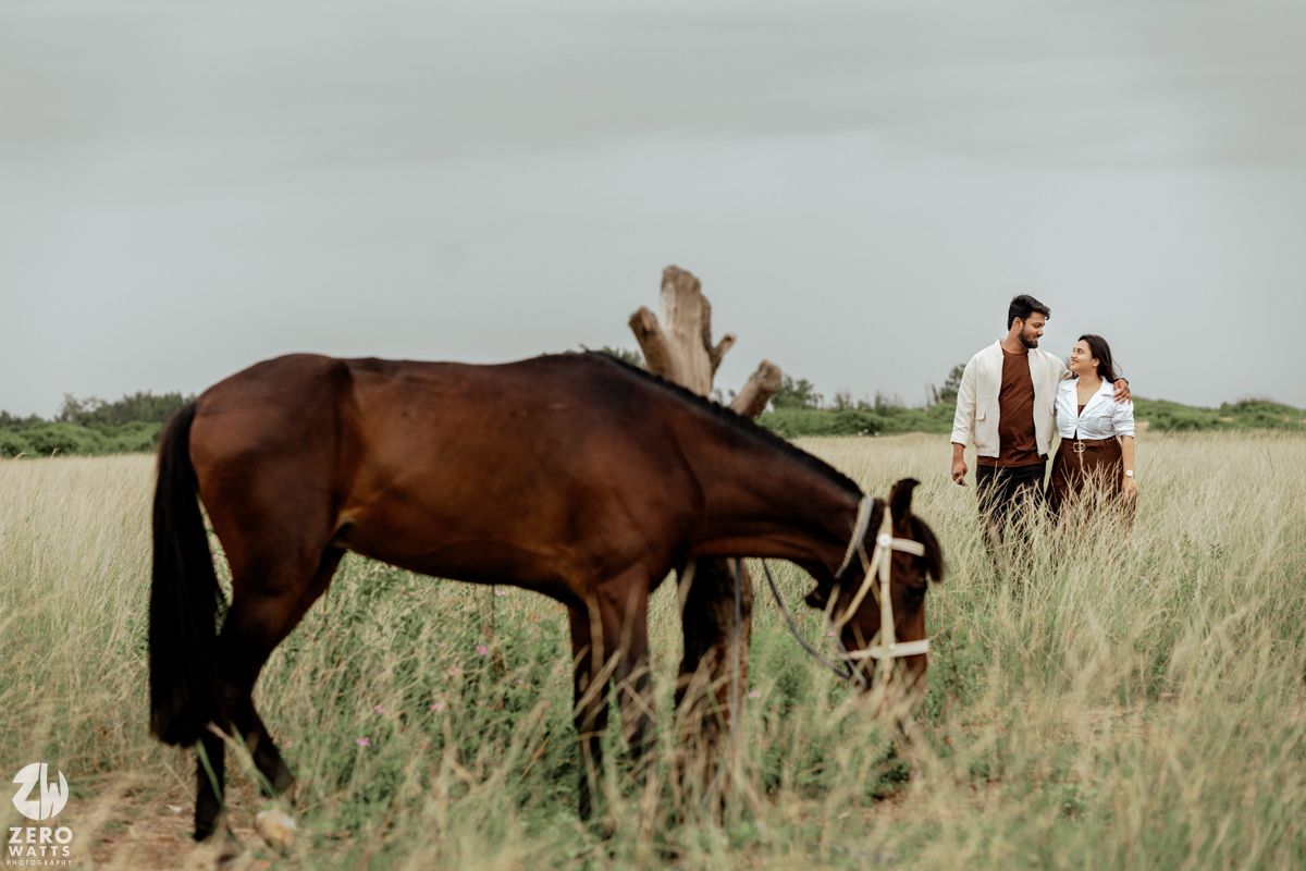 Brown horses graze peacefully in tall grass under cloudy skies.