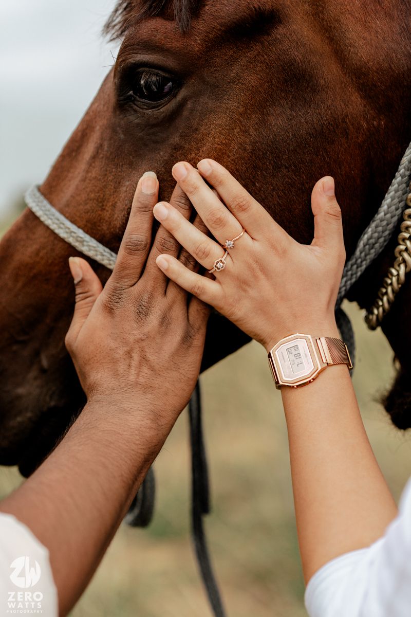 Hands wearing rings gently touch a brown horse's face, with a watch visible on one wrist.