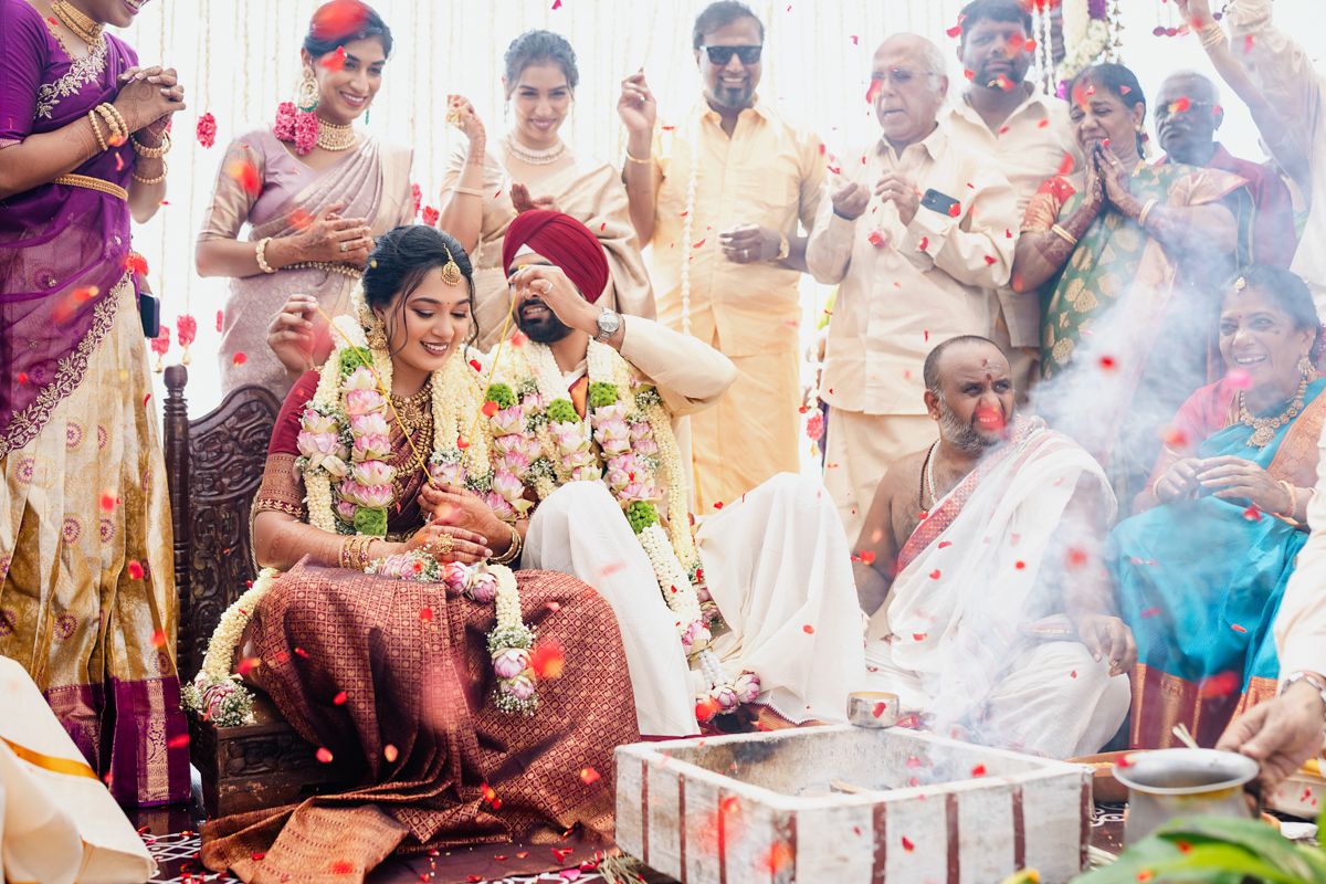 Colorful Indian wedding celebration with guests throwing vibrant powder during festive Holi-style ceremony.