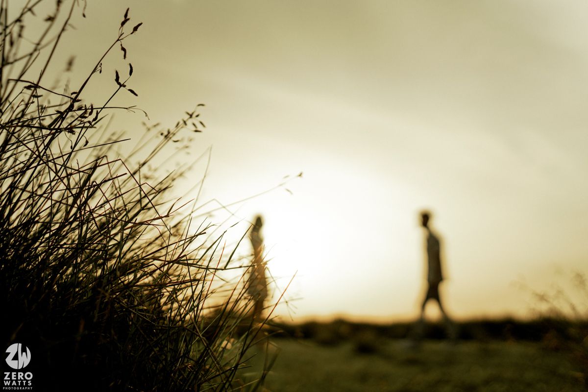 A series of silhouettes against a sepia sky show people walking through tall grass at sunset.