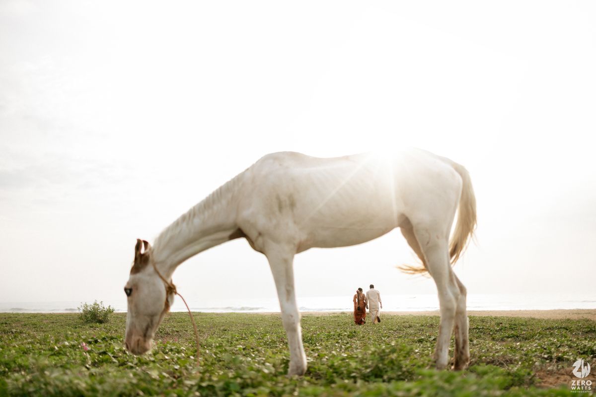 A white horse grazes in a misty field while two figures can be seen in the distance against a hazy sky.