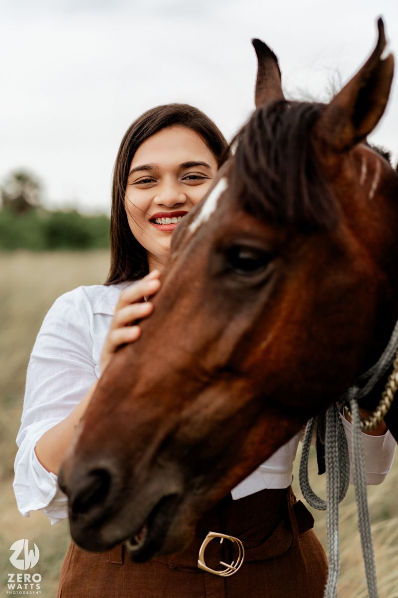 Close-up shots of a brown horse with a halter as someone pets its face.
