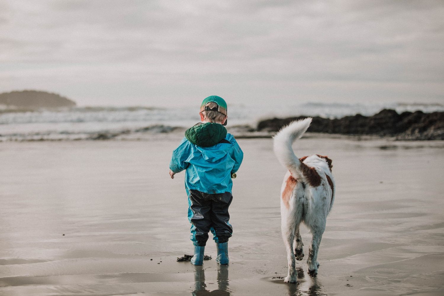 Image of a toddler boy and his dog standing on a beach facing away from the camera.