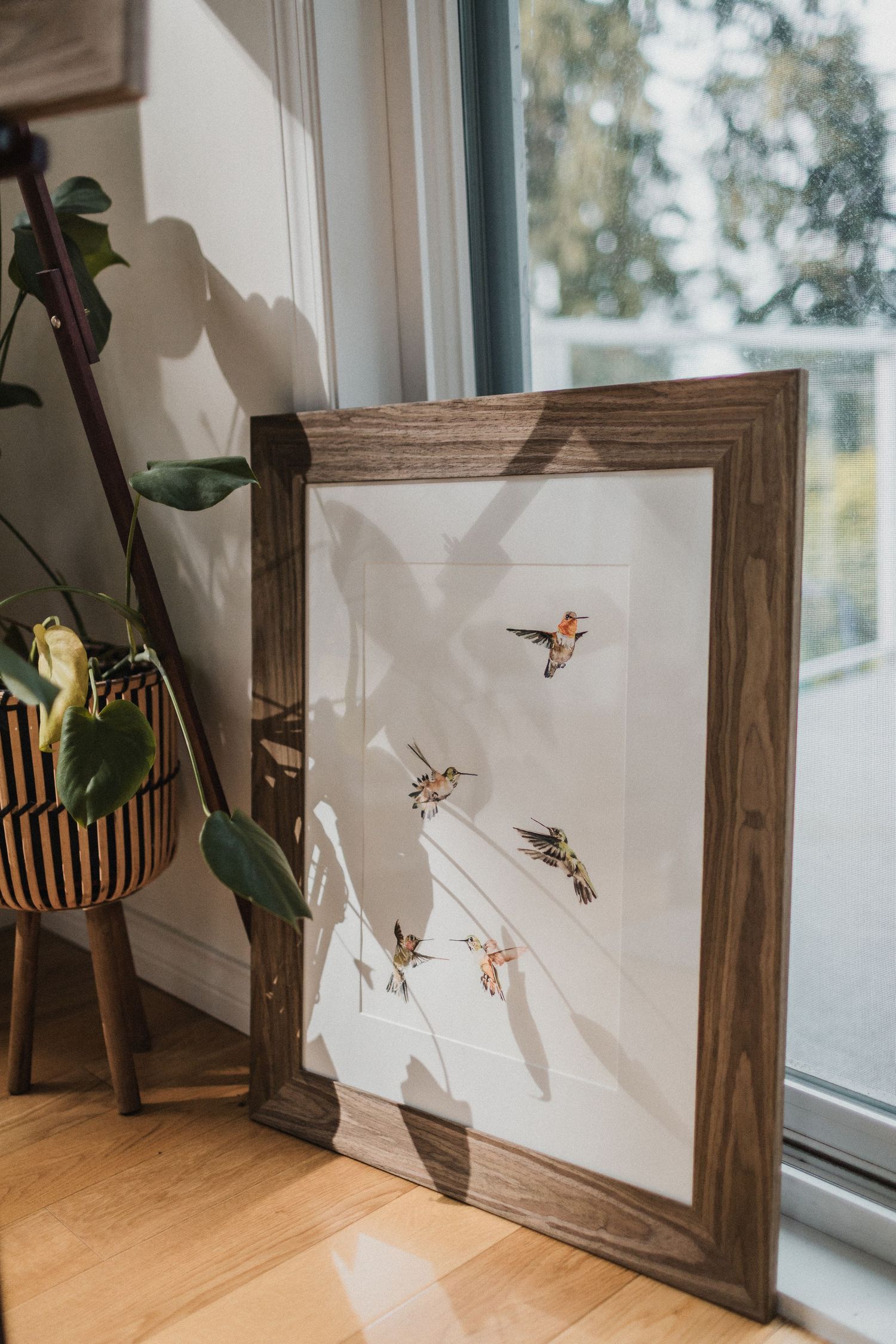 A hummingbird watercolour painting in a walnut frame leaning against glass doors with sunlight shining on it.