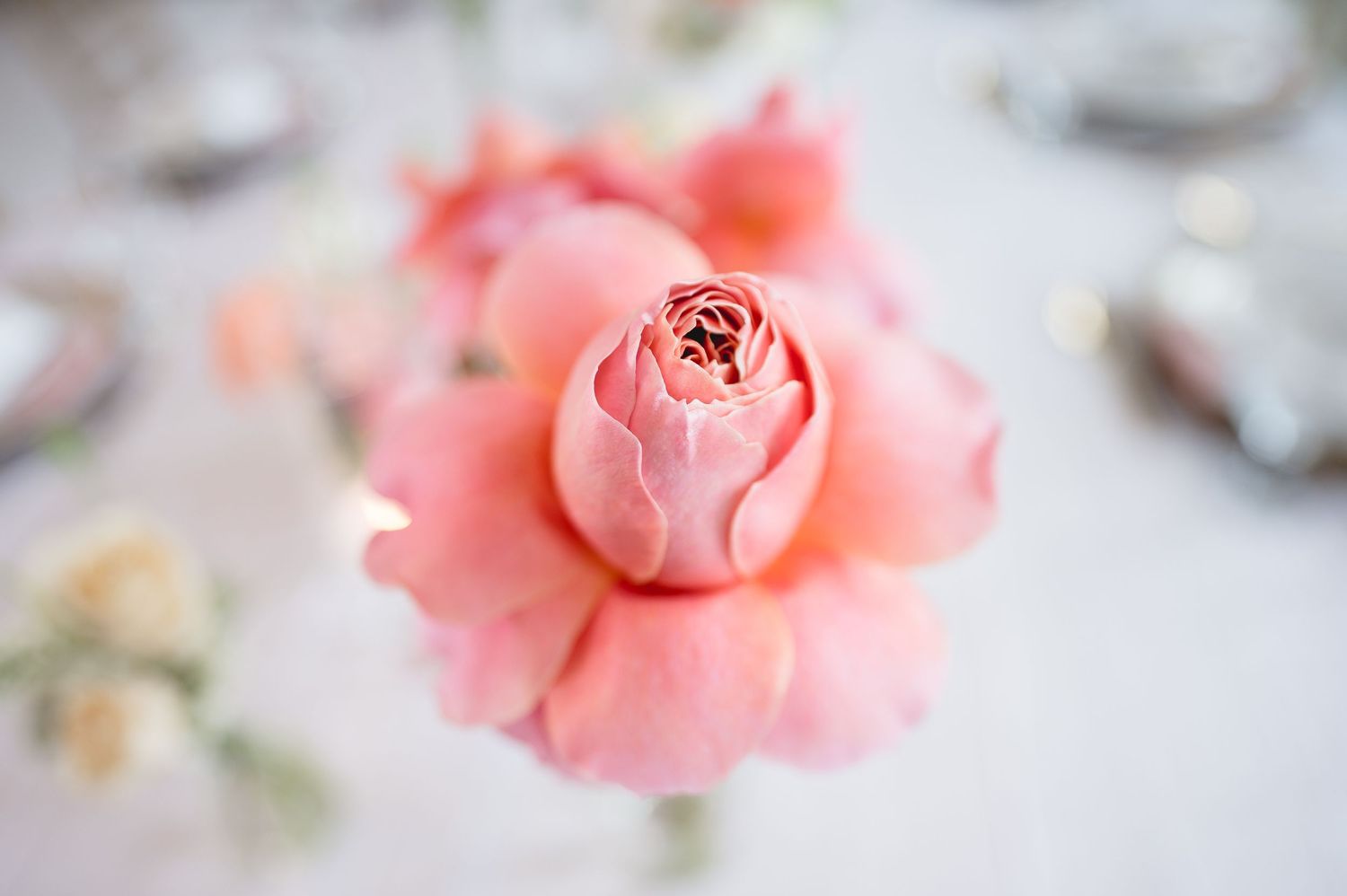 Wedding photographer, Alabama weddings, Huntsville al, Huntsville wedding venue, wedding planner, best wedding, bride,