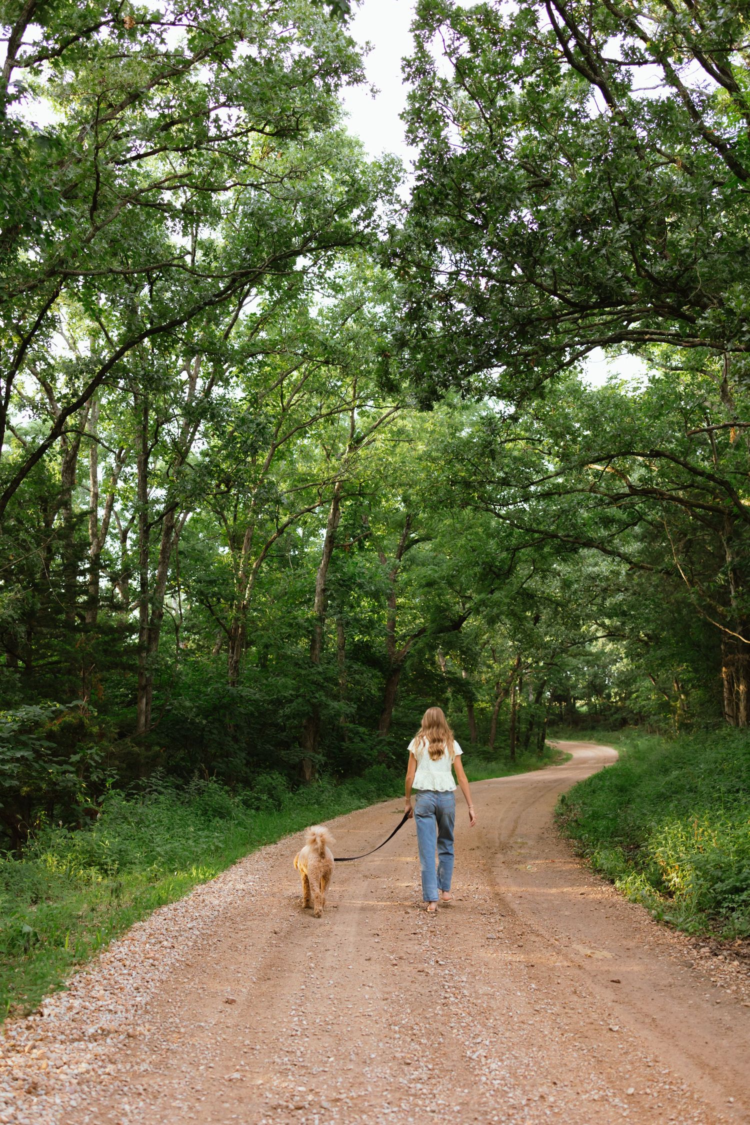 Woman walking golden dog on a winding dirt road through lush green forest trees.
