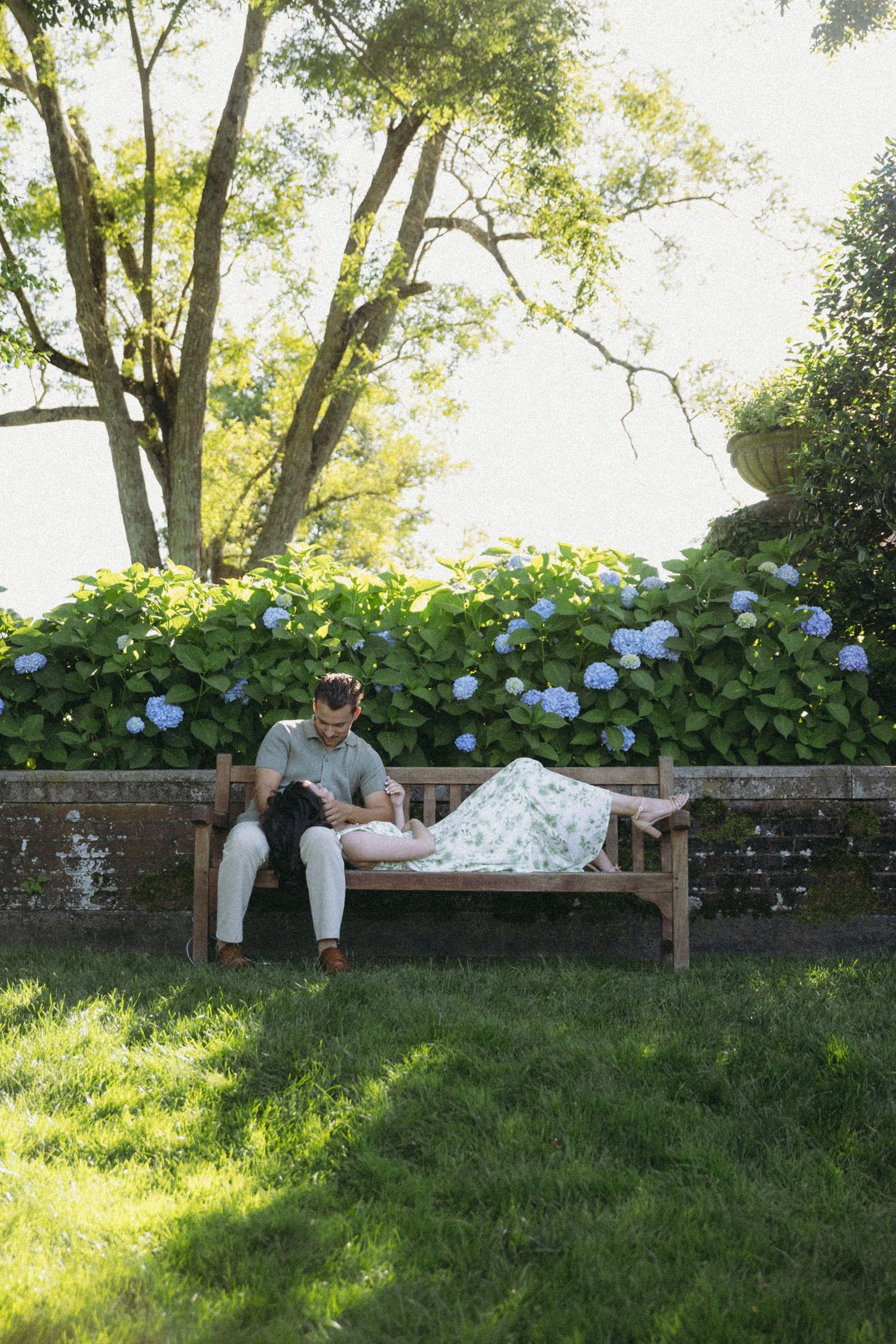 A series of four photos shows a couple sitting on a wooden bench surrounded by blooming hydrangeas in a garden setting.