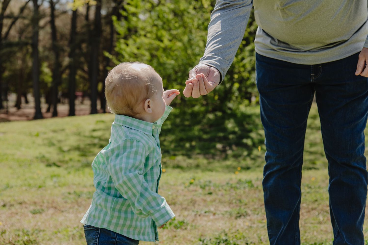 A toddler in a plaid shirt holds an adult's hand while walking in a green park on a sunny day.