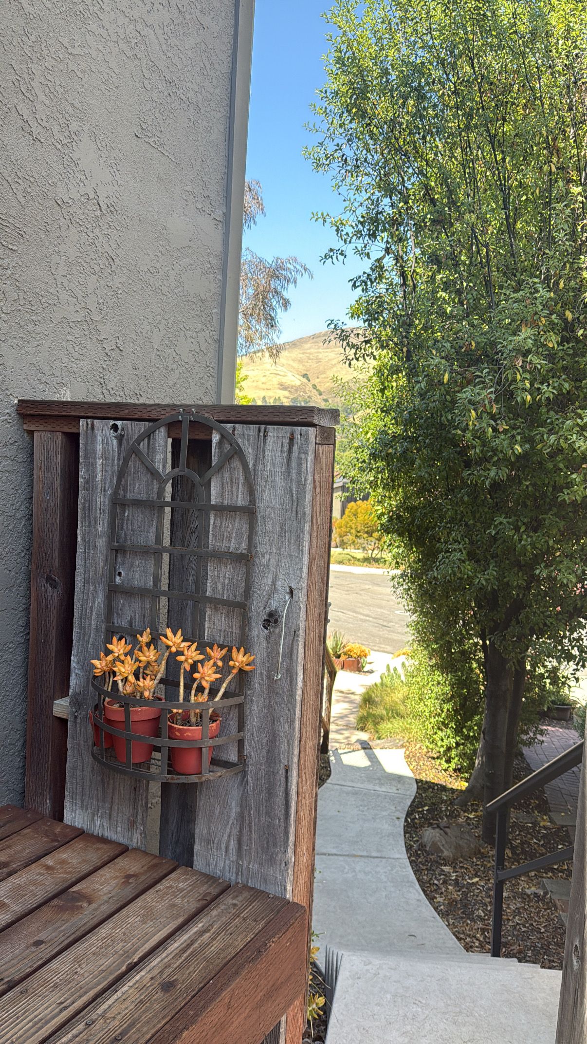 A series of wooden windows with orange daylight lilies growing beside them on an exterior stucco wall.