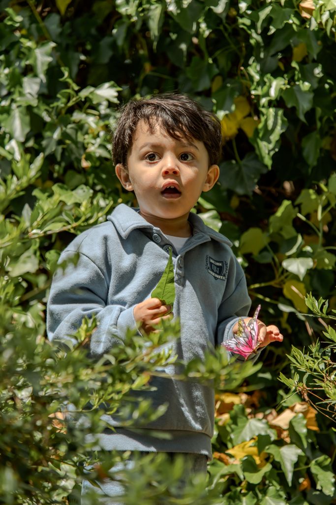 A toddler in a gray hoodie holds a leaf and flower, standing among lush green bushes with a surprised expression.