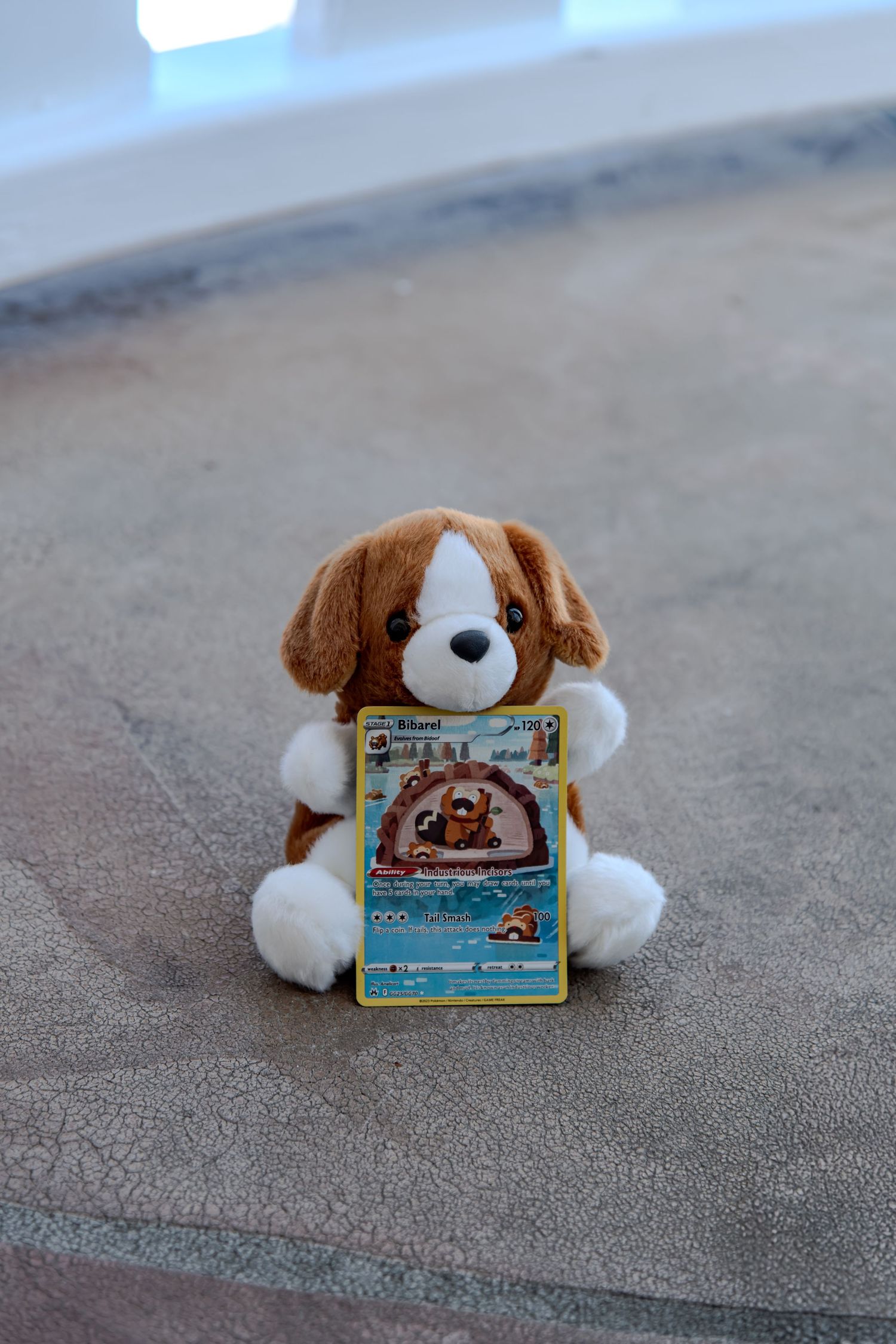 Brown and white beagle stuffed animal holding a holographic Pokemon trading card on a carpeted floor.