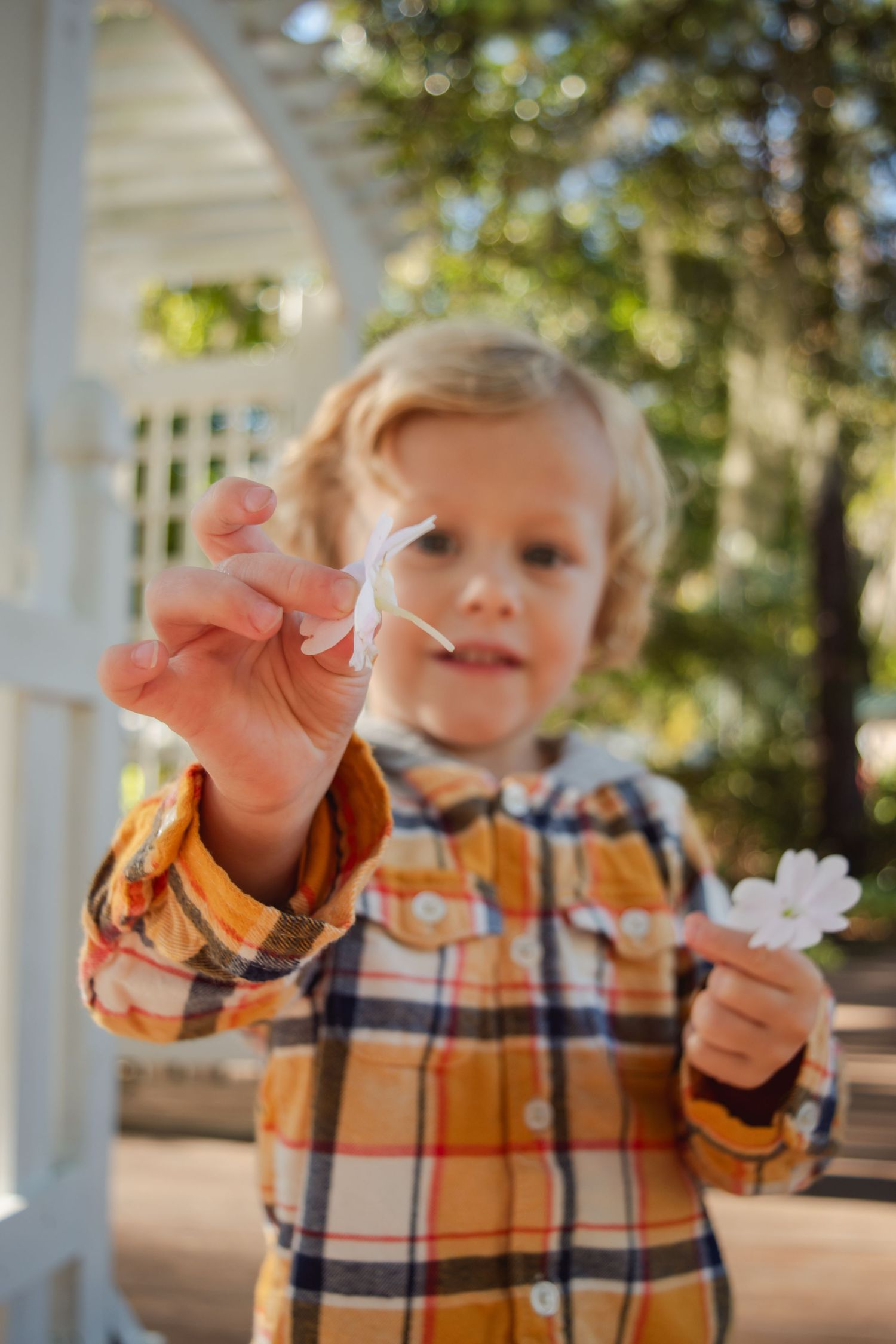 Young blonde child in plaid shirt holds small white flower toward camera outdoors near white gazebo.