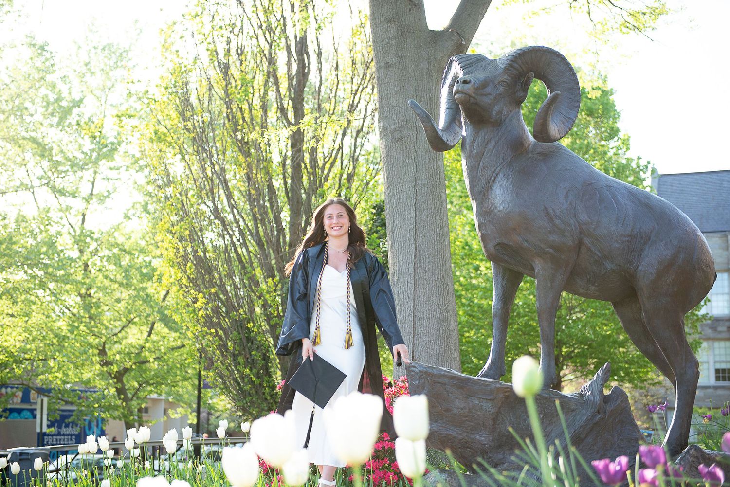 A graduate poses near Rammy statue surrounded by spring flowers on a West Chester University campus.