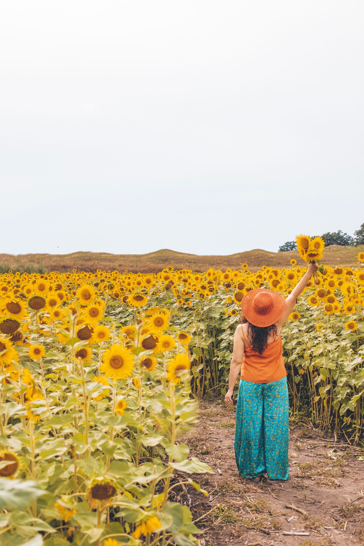 goddess, self love, sunflower, styled portrait, fine art portrait, sunflower field,