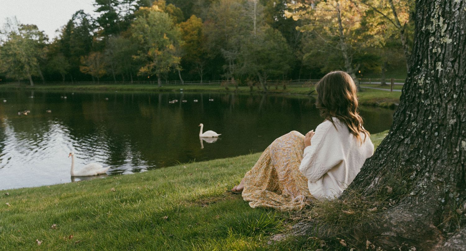 Film-style photo of the back of a woman sitting under a tree by a lake, watching swans on the water at sunset.