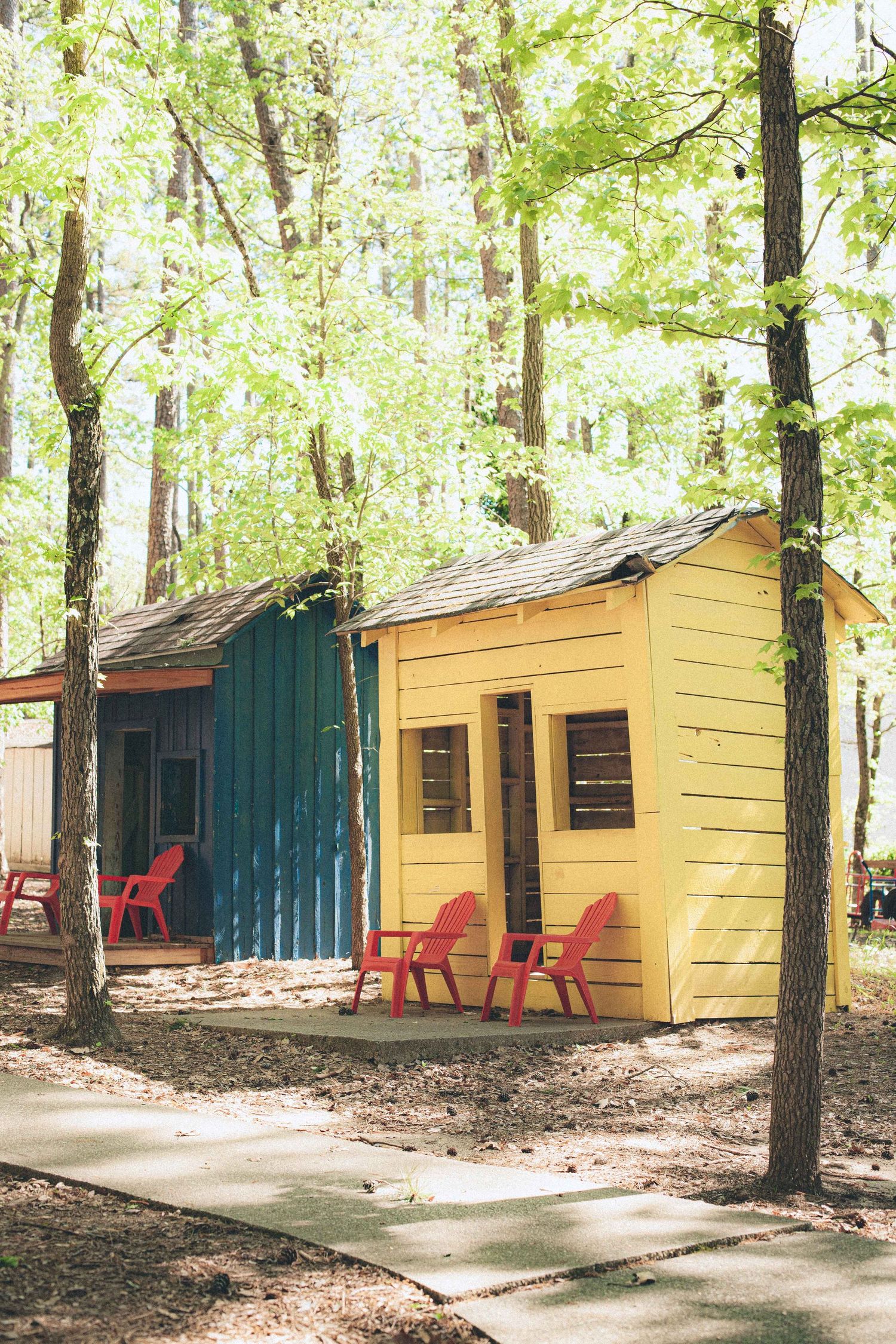 Yellow wooden cabins nestled among trees with red chairs outside.