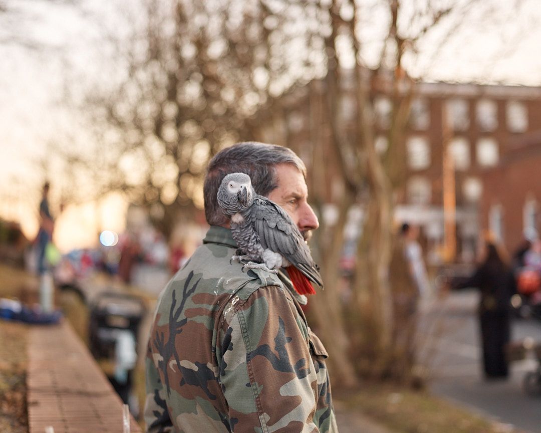 A person wearing camouflage military gear and backpack walks through an urban neighborhood during sunset.