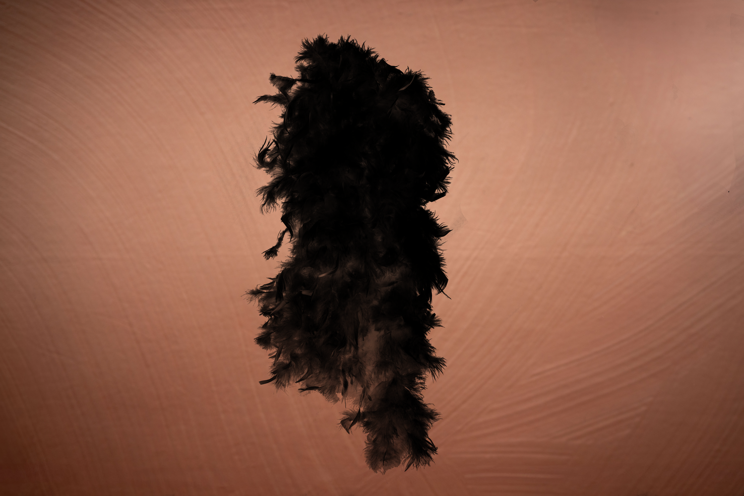 Dark tree silhouette against sepia toned background.