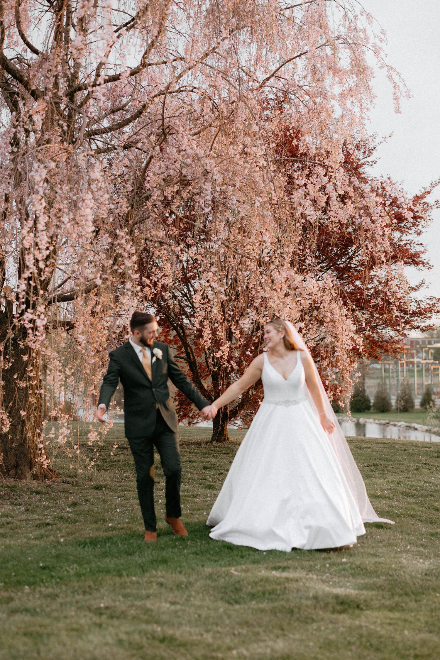 Couple walking through blooming cherry blossom trees in wedding attire during spring.