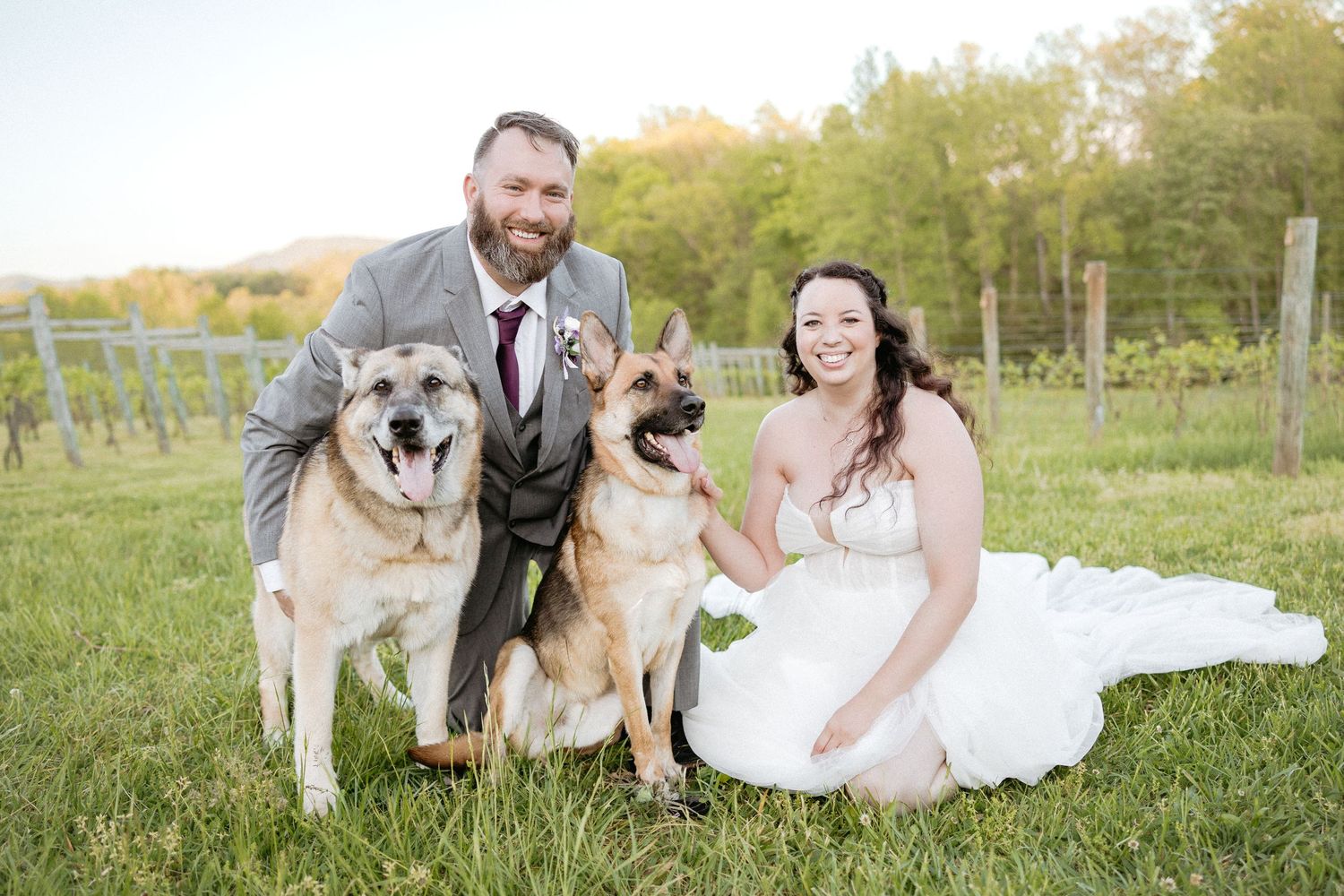 Wedding couple and their dogs posing in a sunny grass field at sunset.