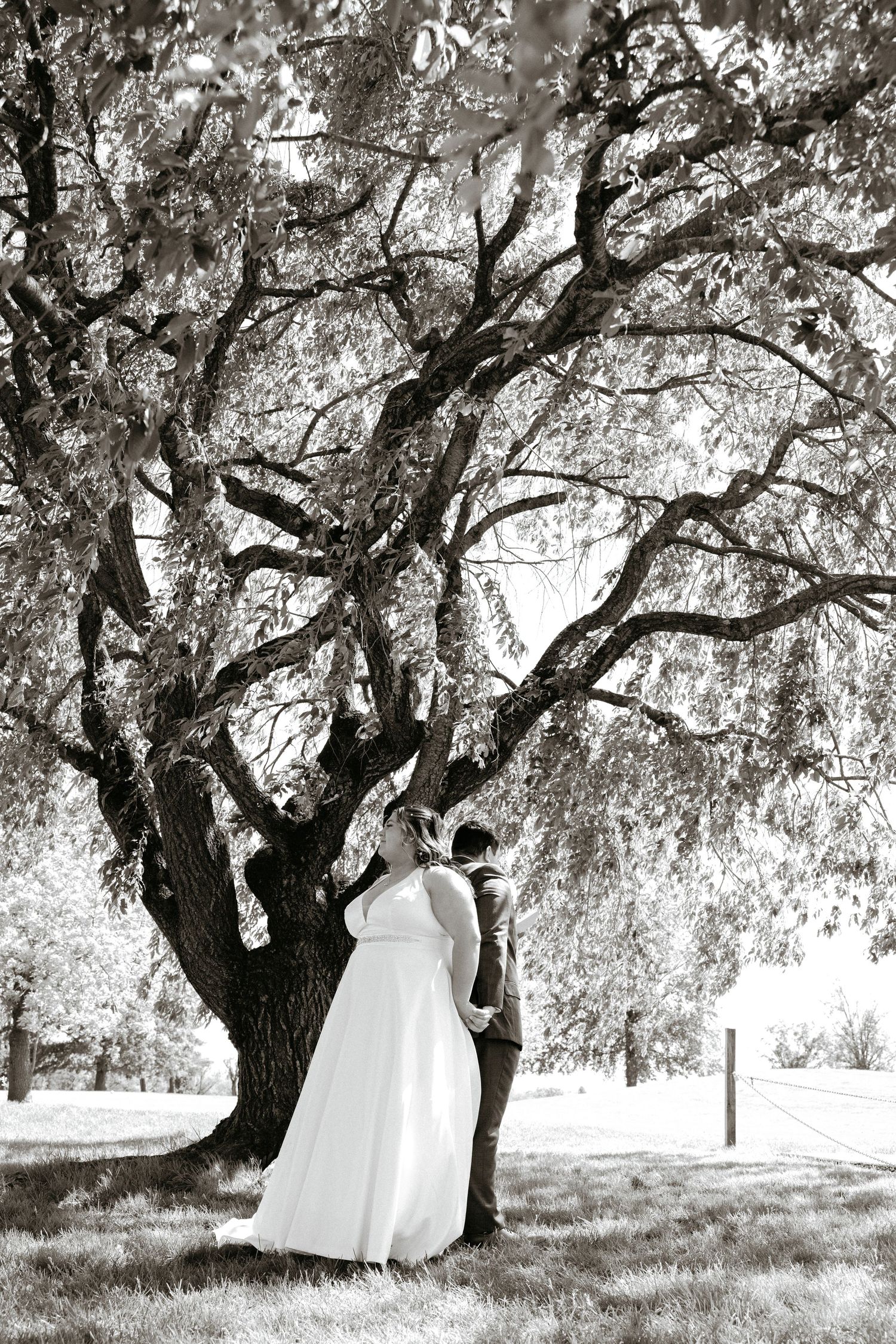 A romantic black and white wedding photo series showing a couple under graceful willow trees in a garden setting.