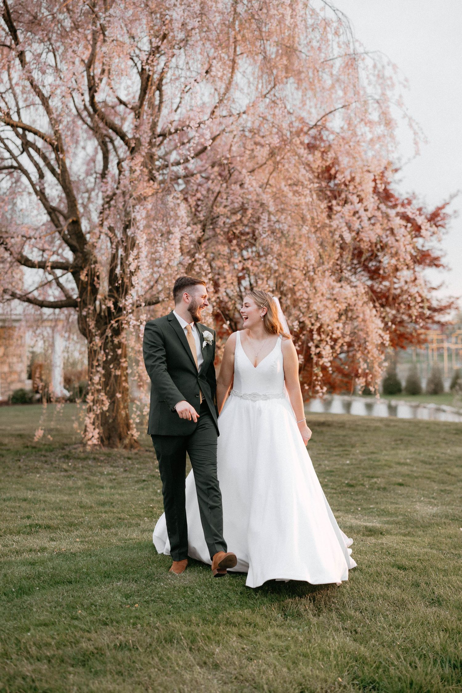 A couple walks together under blooming cherry blossom trees in spring.