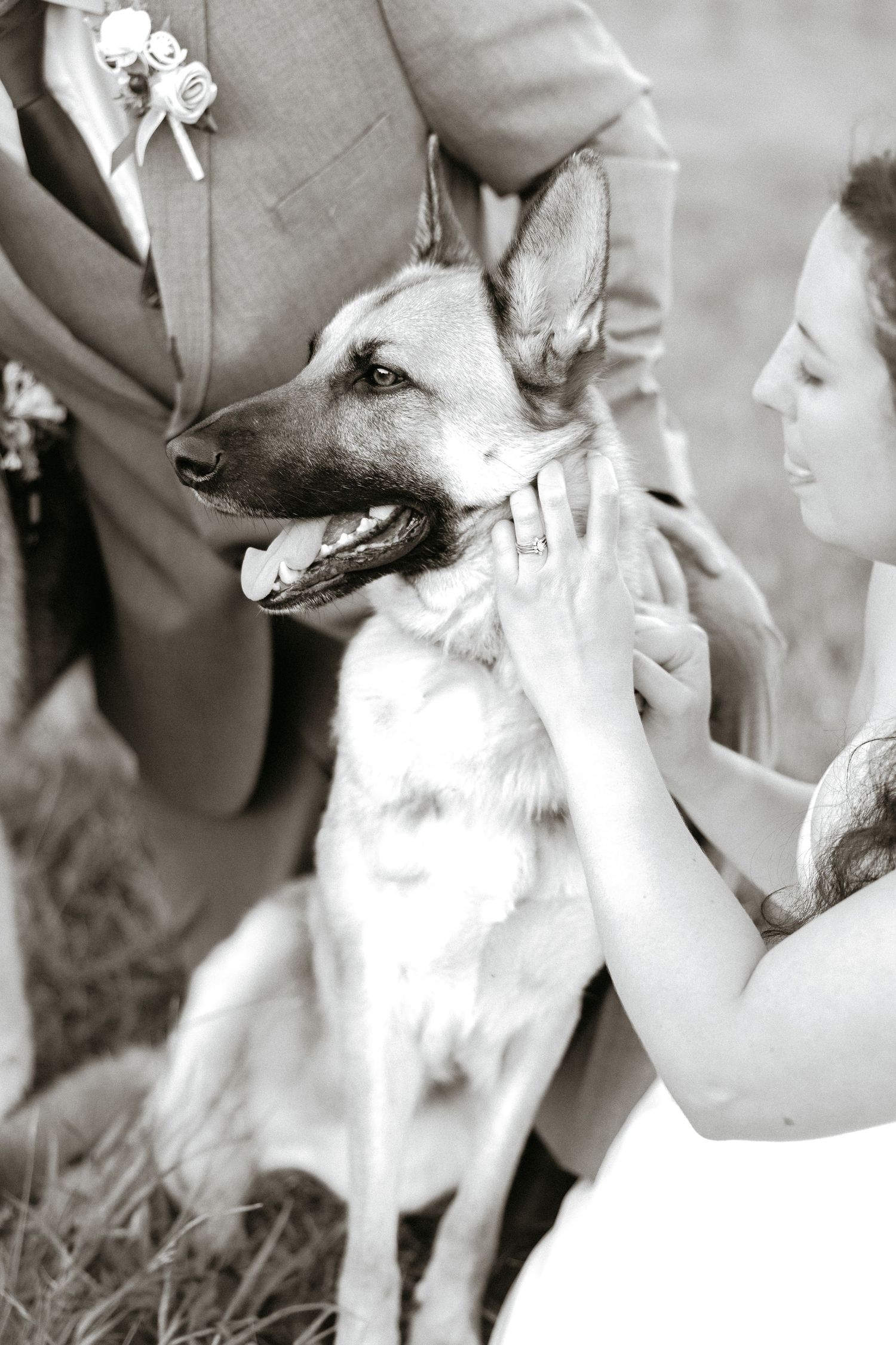 Black and white photos of a small white dog interacting with guests at a wedding celebration.