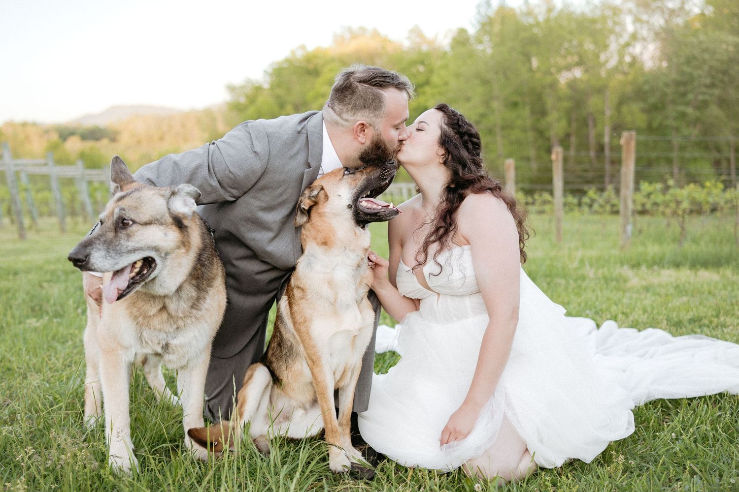 Wedding photography in a rustic outdoor setting with dogs joining the couple for special moment captures.
