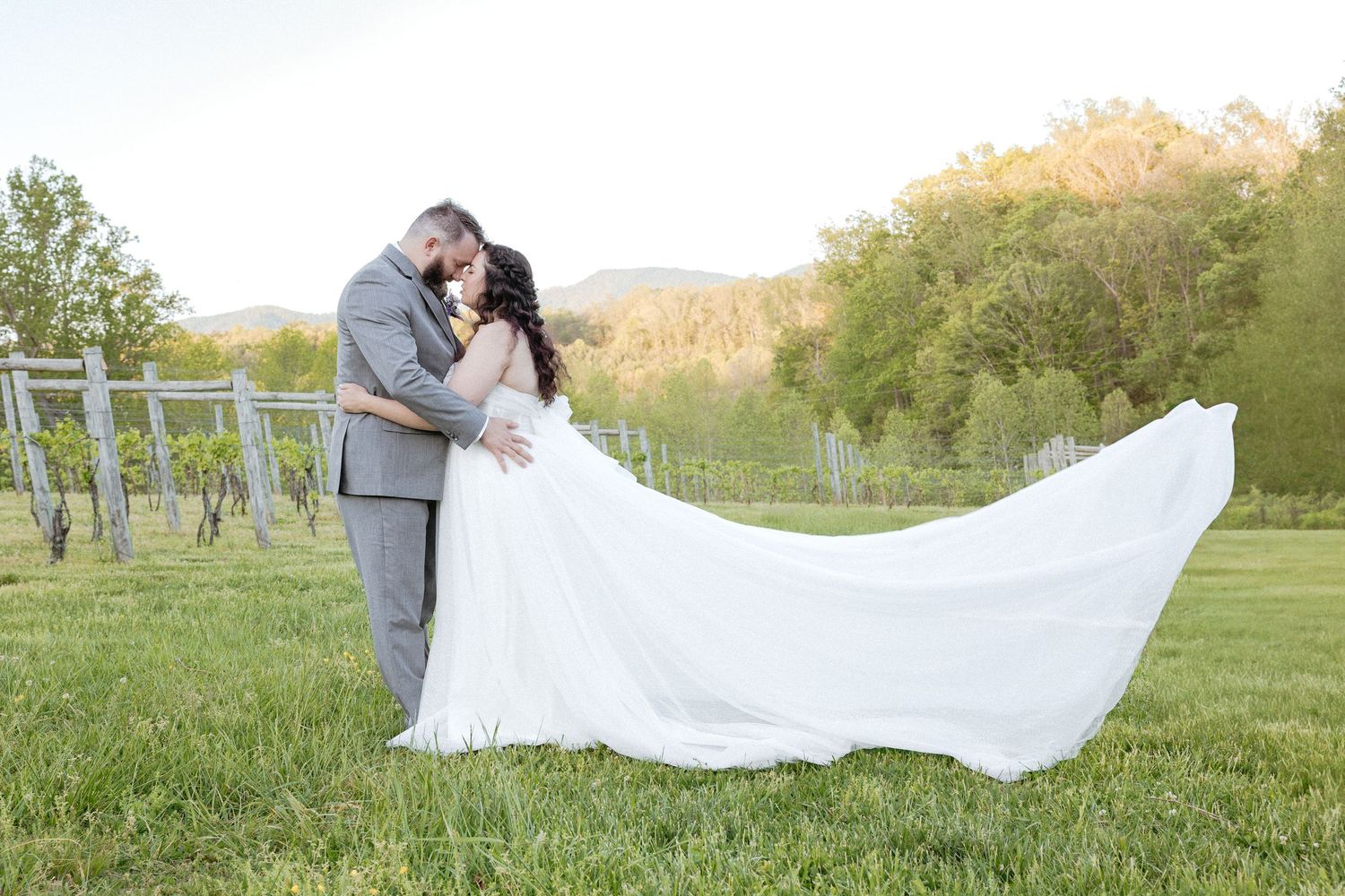A romantic photoshoot featuring flowing white wedding dress trailing across a scenic outdoor vineyard setting.