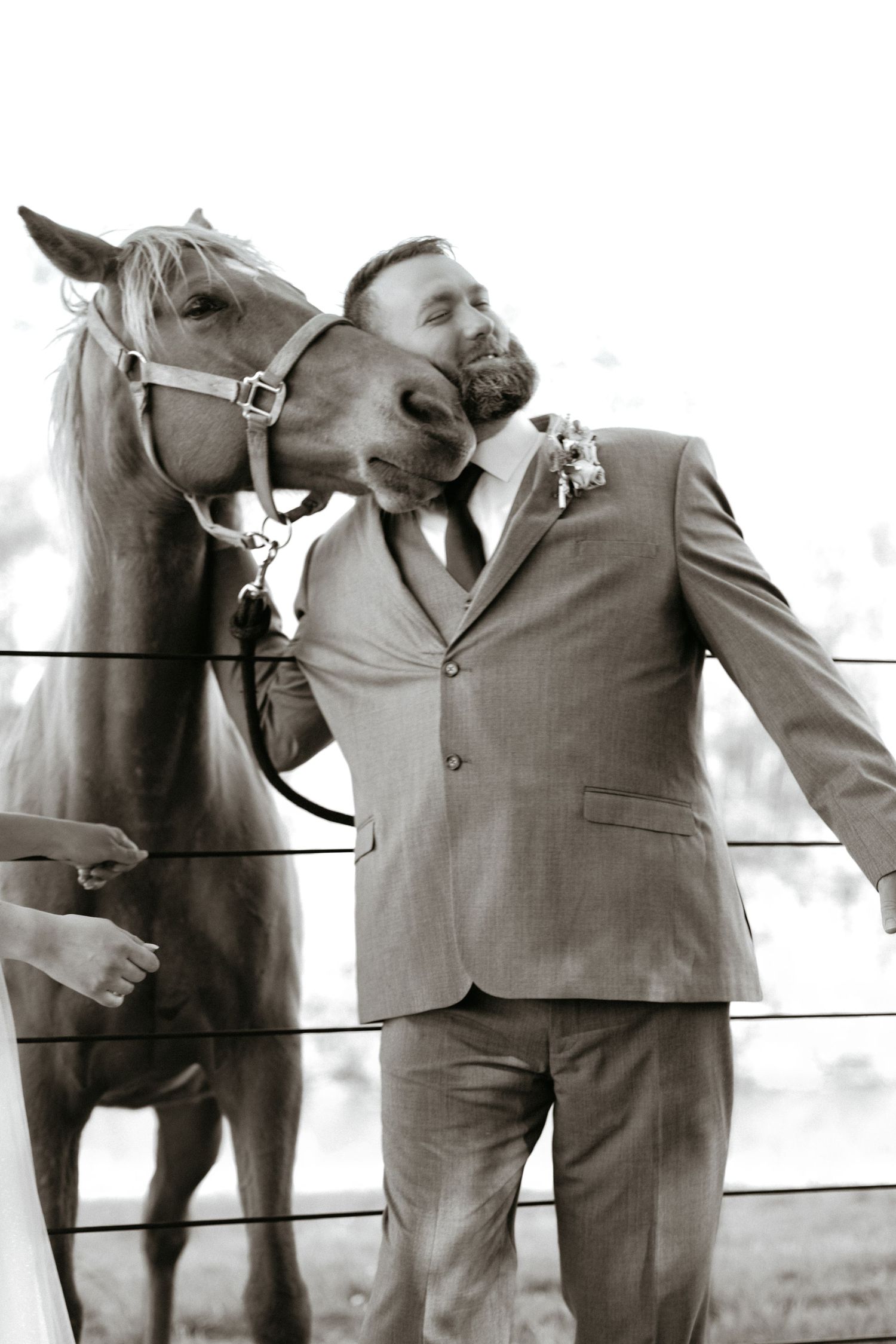 A series of black and white photos showing groomsmen posing with horses in formal attire.