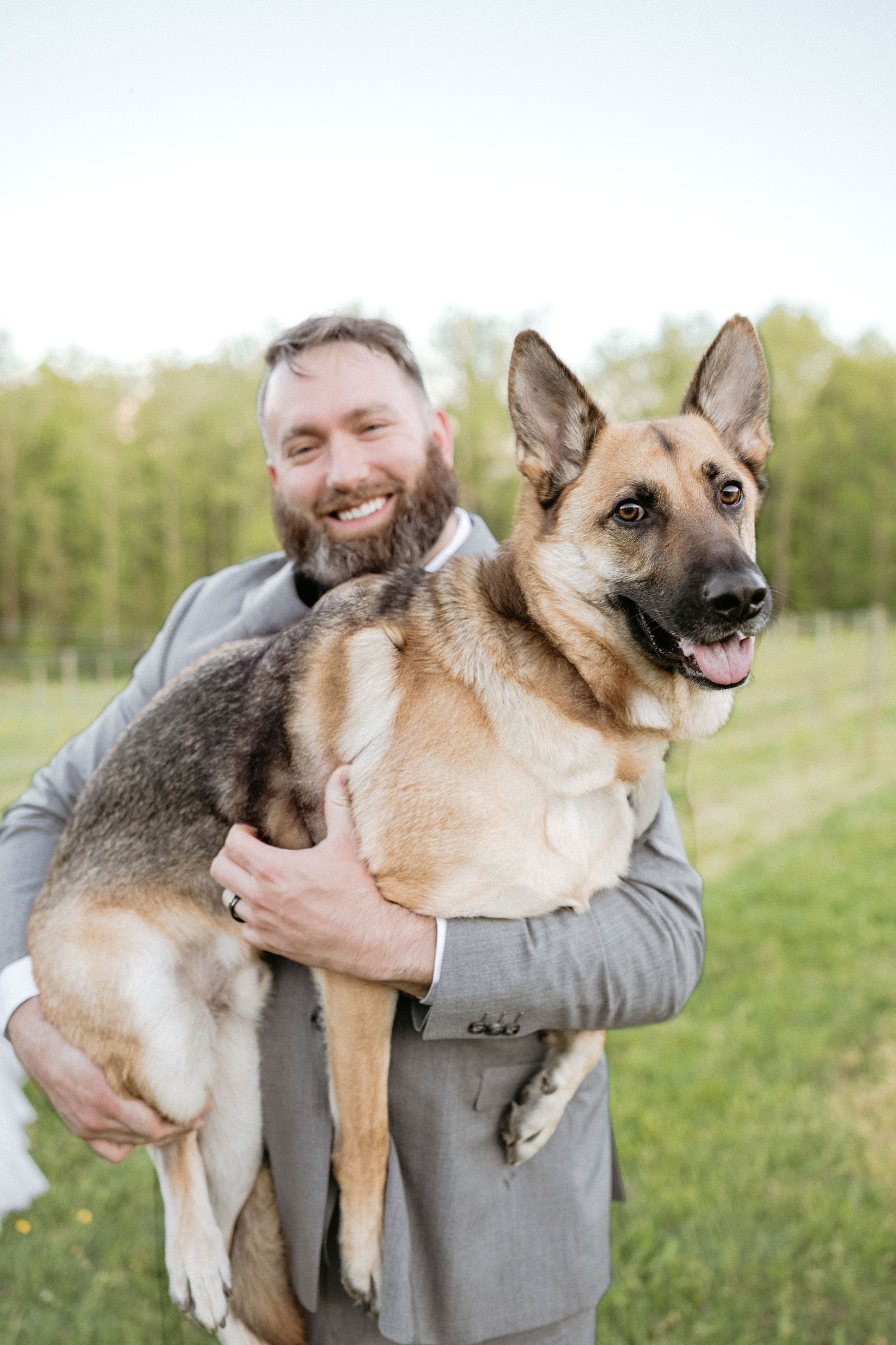 Groom in grey suit holds two happy German Shepherd dogs in an outdoor setting.