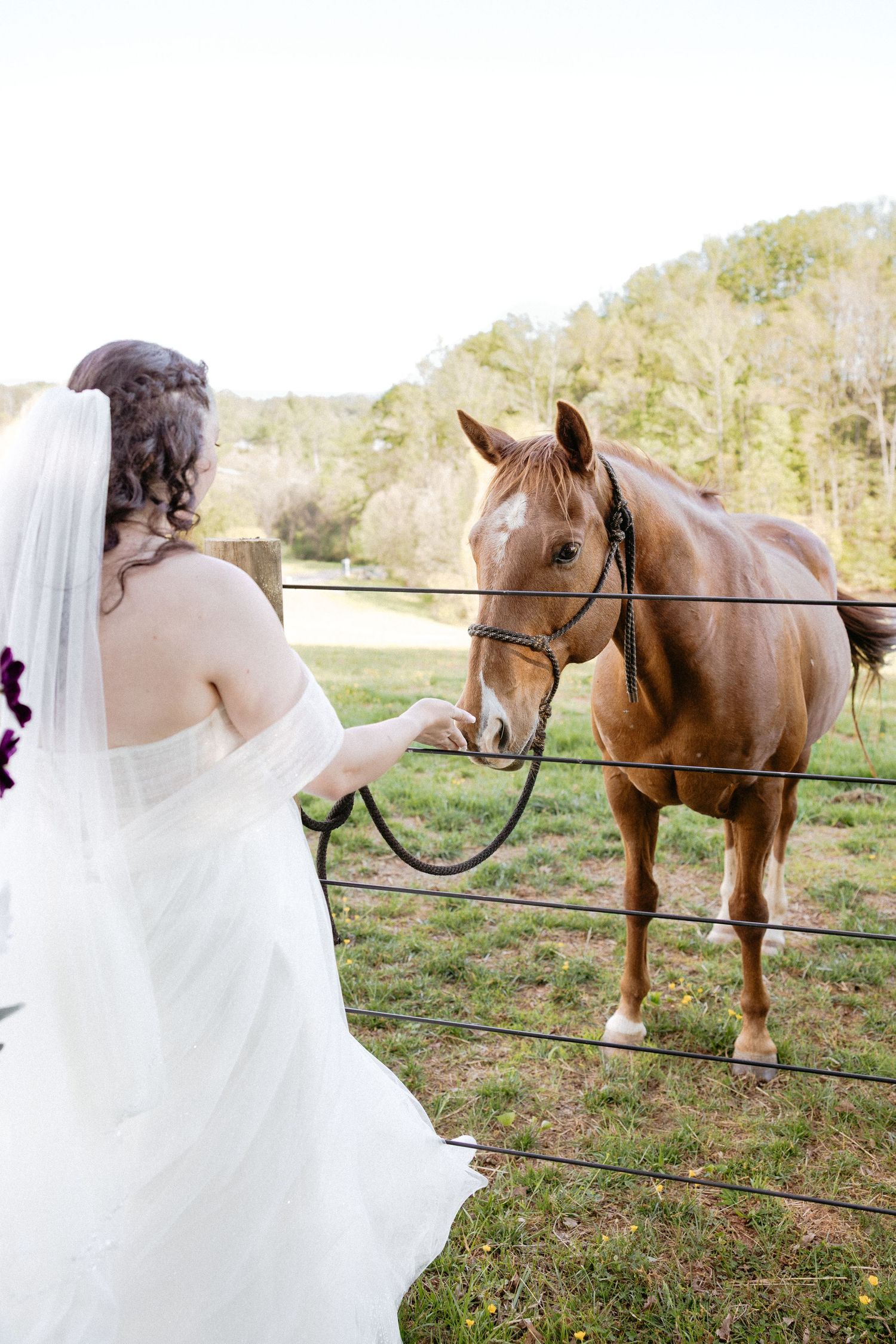 A bride in a flowing white dress poses beside a beautiful brown horse on a rustic farm fence.