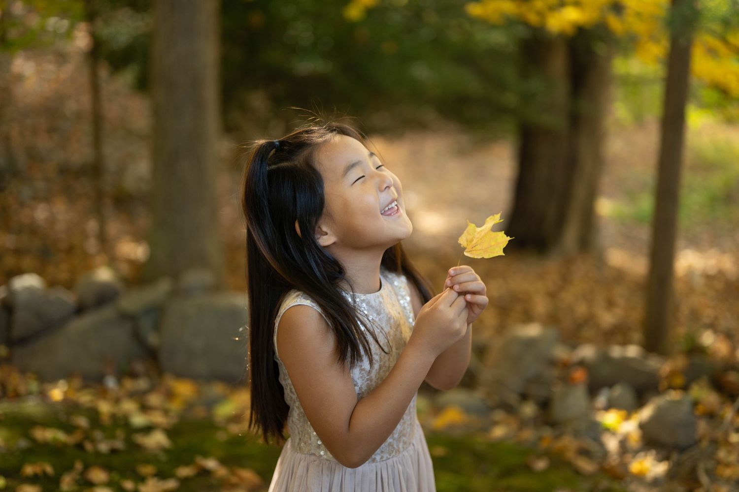 Autumn leaves create a golden backdrop in a natural outdoor setting.
