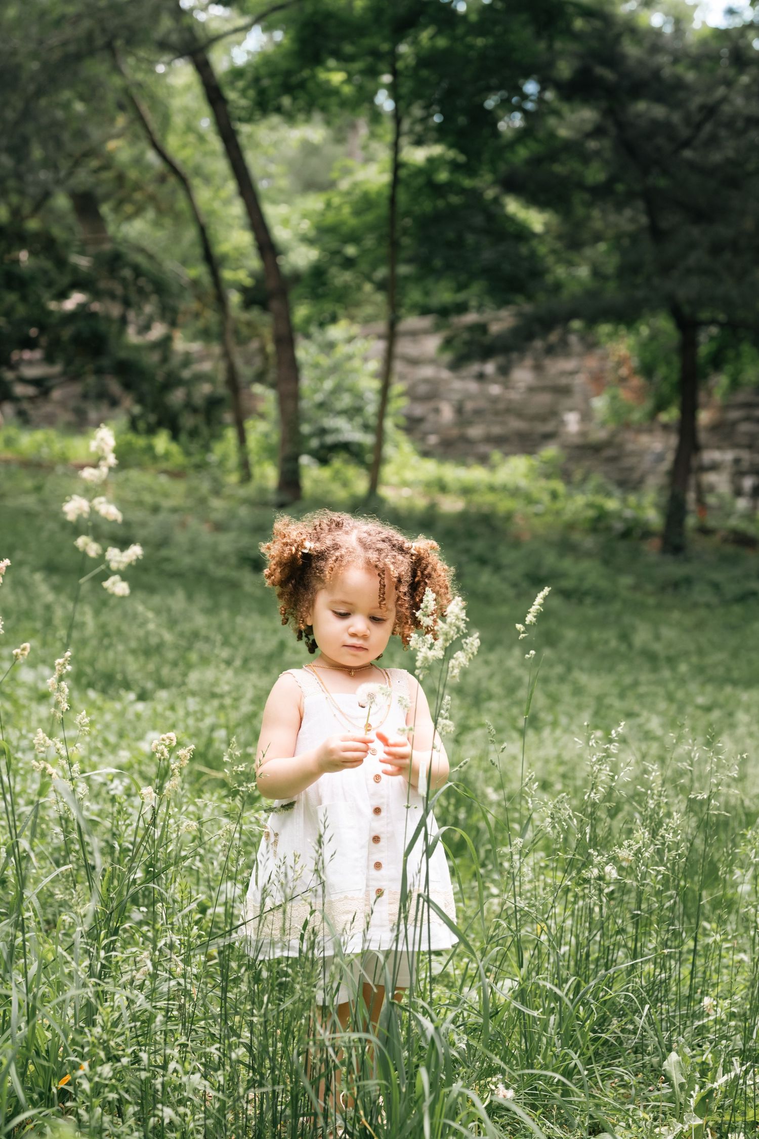 Curly-haired toddler girl in white dress exploring tall wildflowers in a lush green park setting.