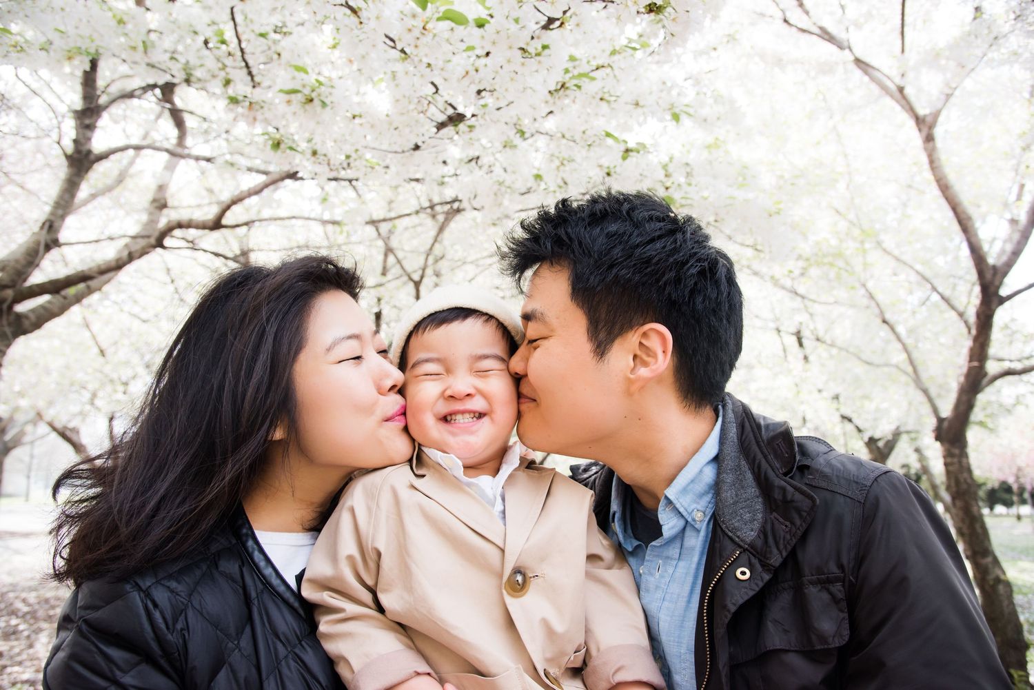 Family sharing tender moments under blooming cherry blossom trees in springtime.