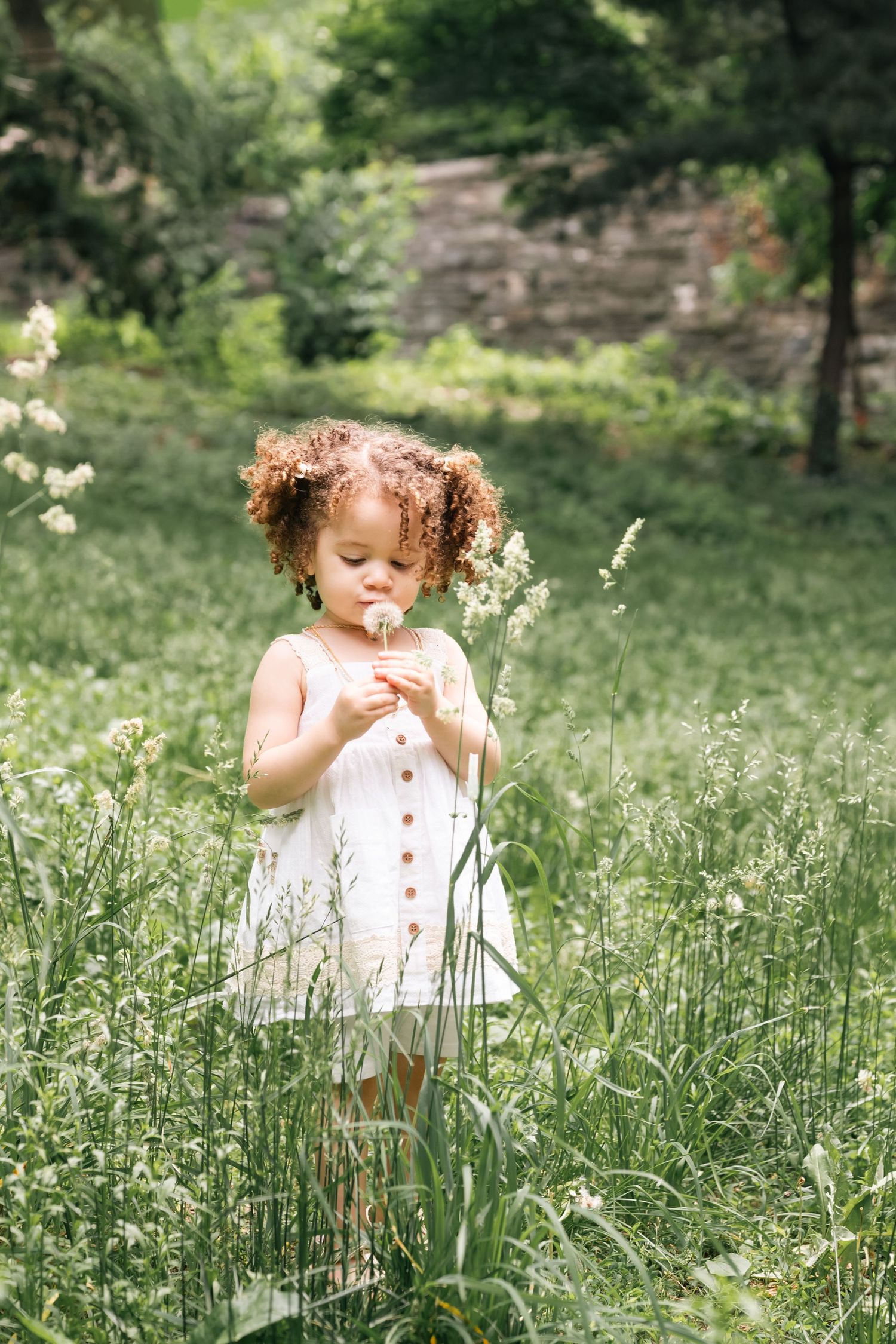 Curly-haired toddler girl in white dress blowing a dandelion in a lush green meadow.