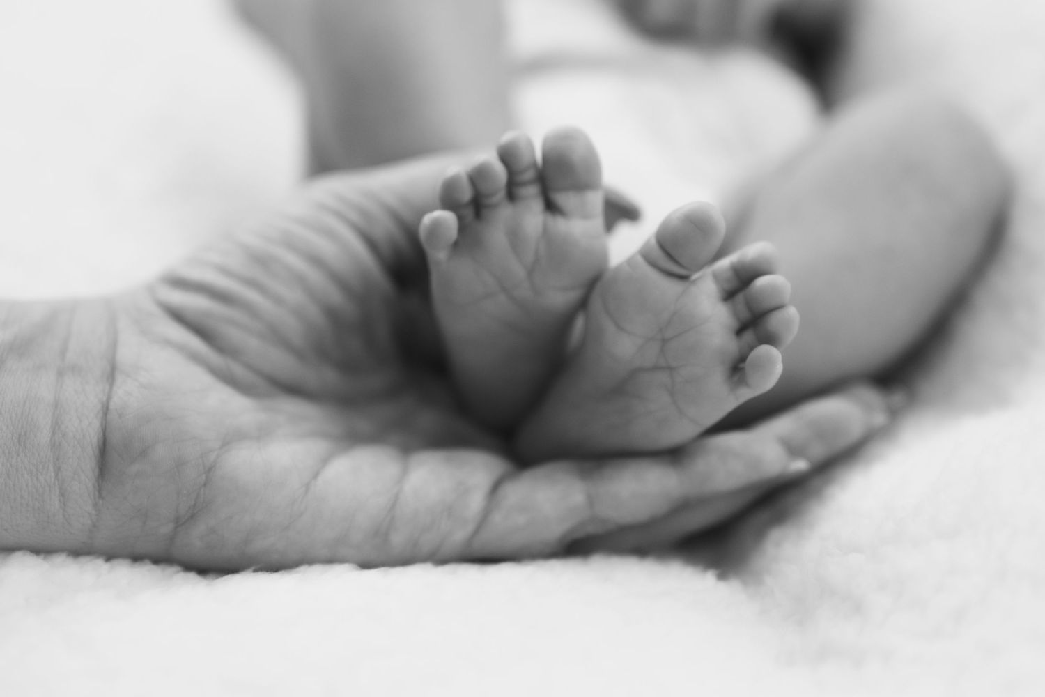 Close-up black and white photos of tiny baby feet and hands.