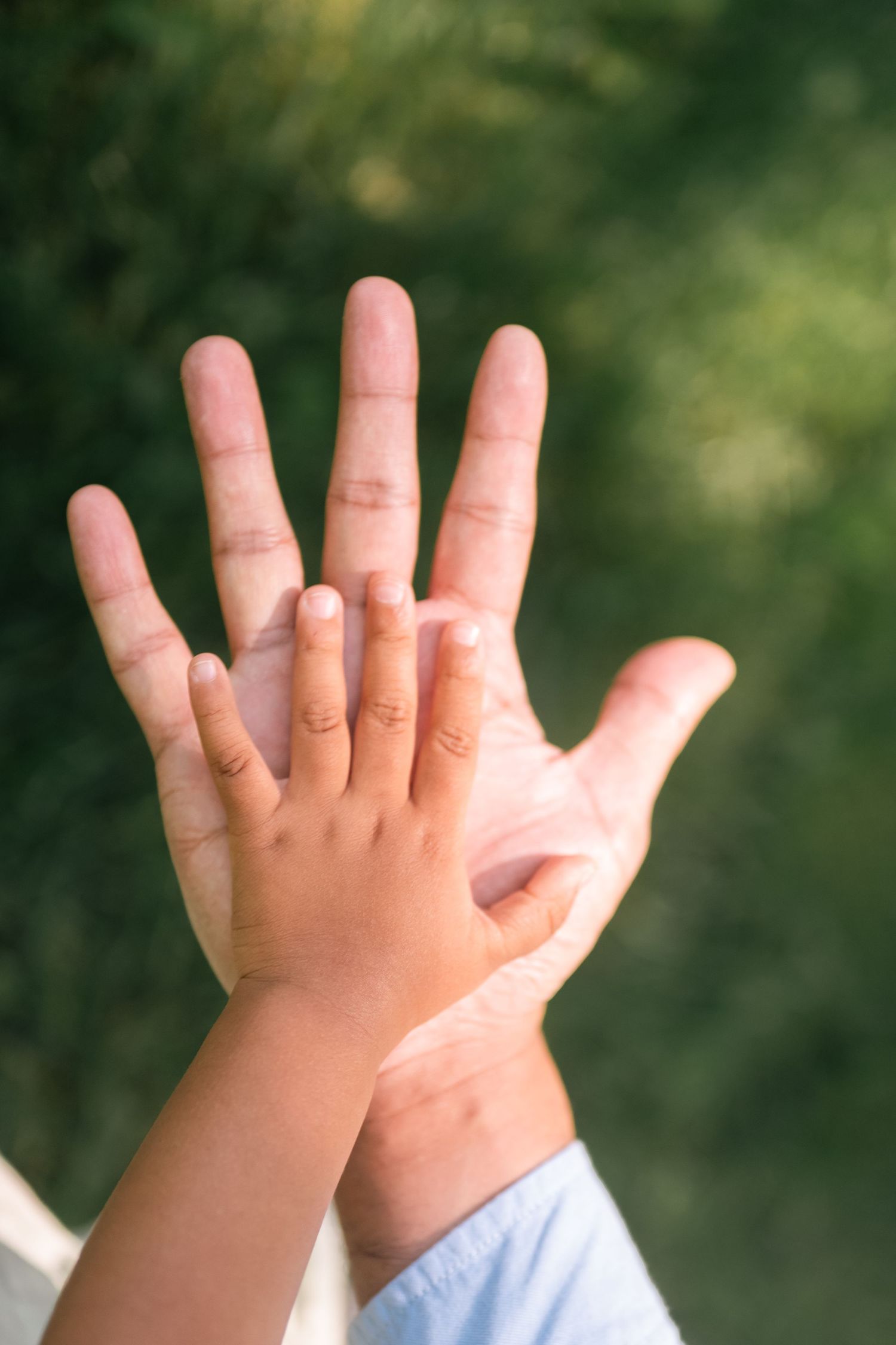 A child's small hand pressed against an adult's open palm outdoors with green foliage background.