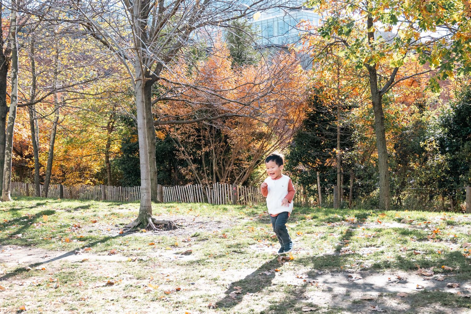 A person walks through a sunlit autumn forest path covered in fallen leaves and dappled shadows.