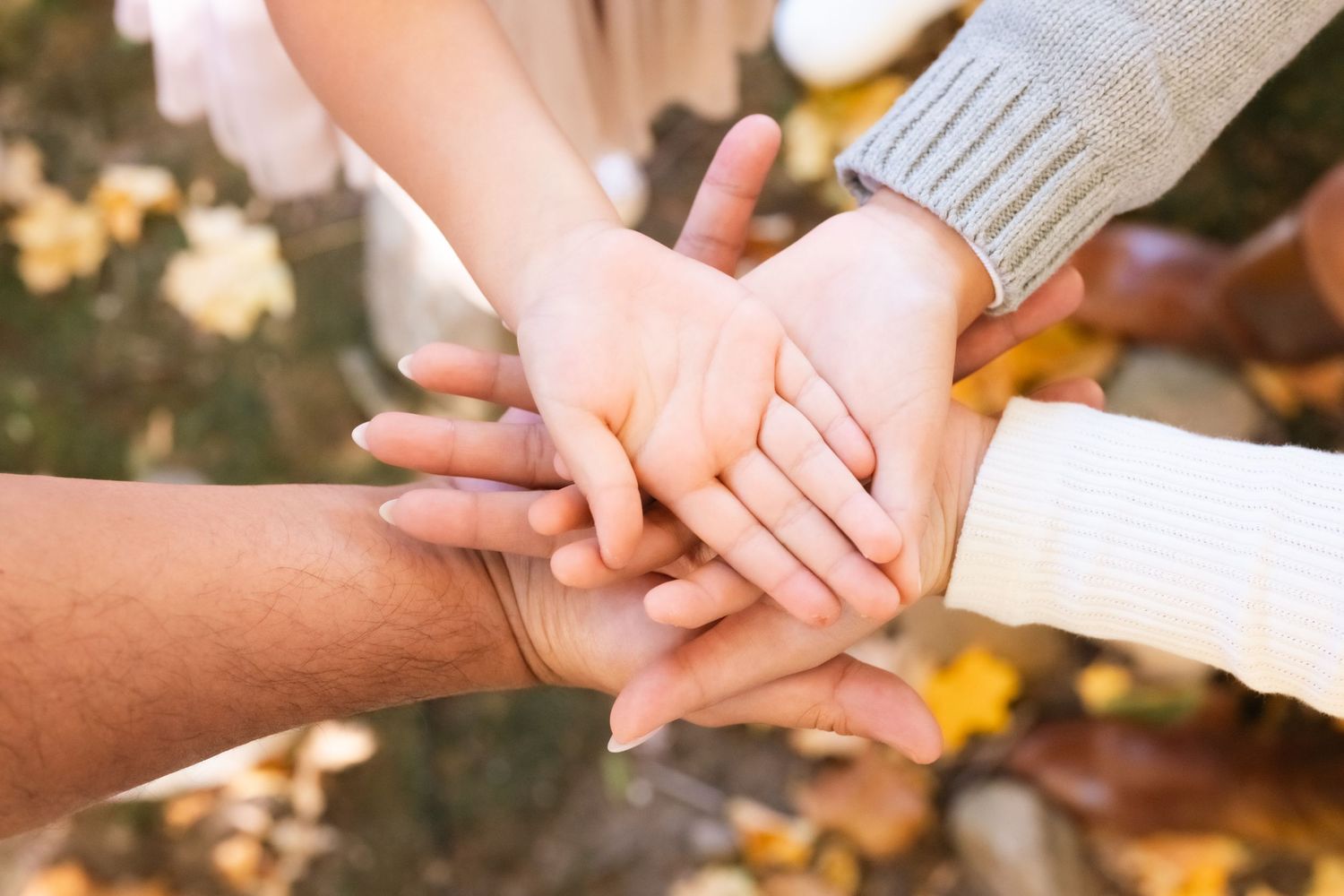 Close-up shots of hands tenderly holding and touching each other against autumn leaves.