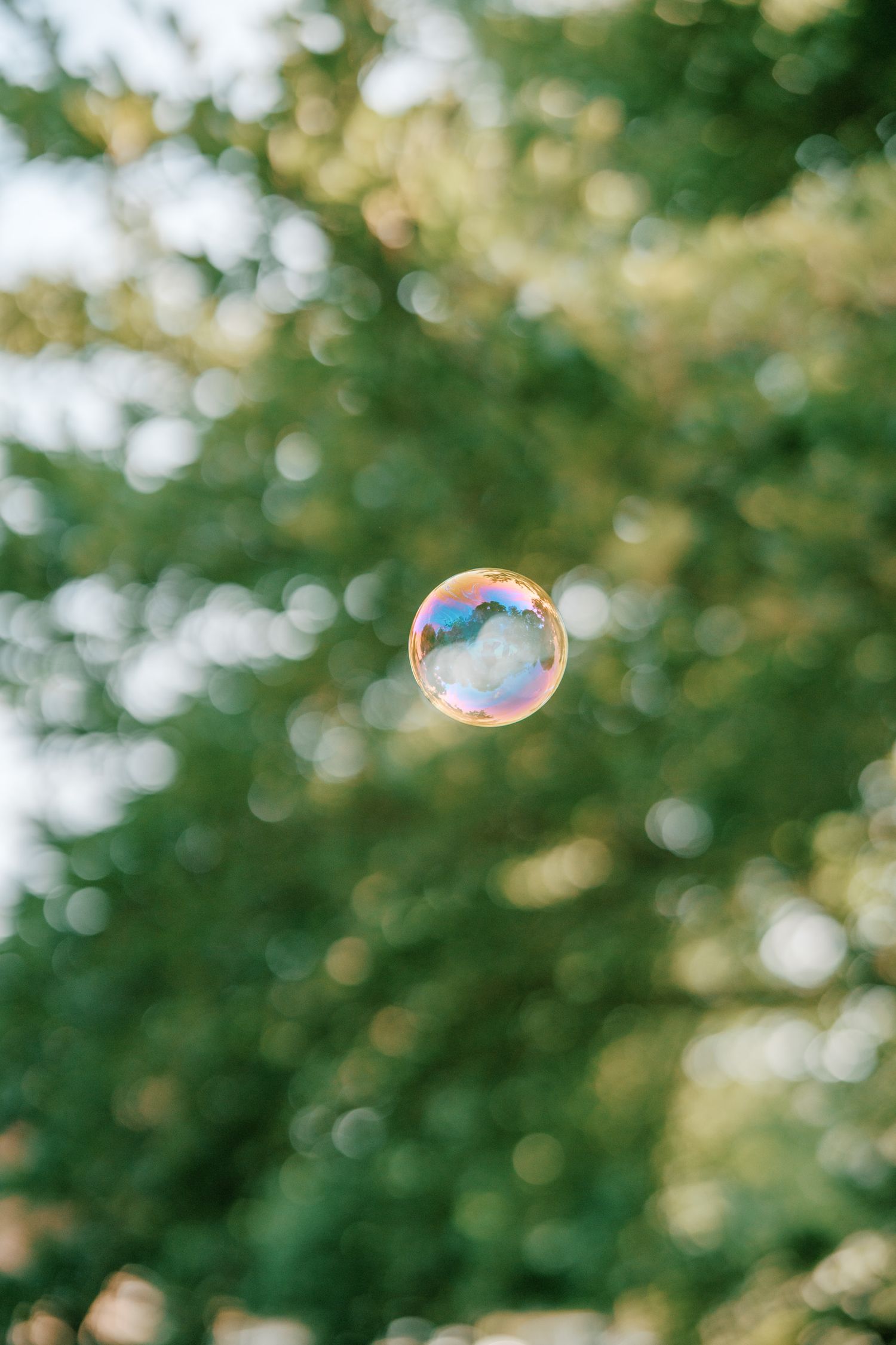 A iridescent soap bubble floating in mid-air against a blurred green tree background in natural light.