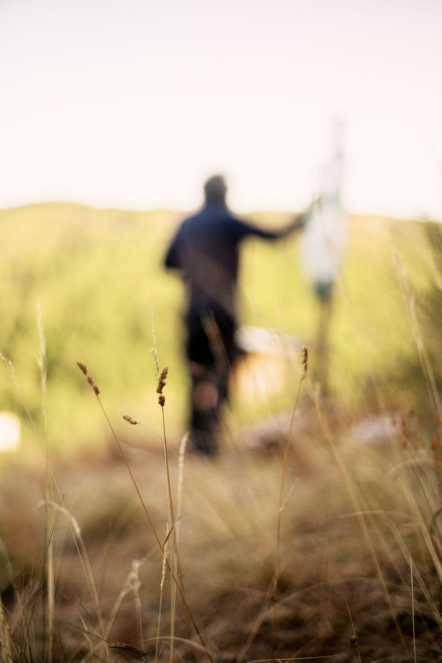 Artist painting on canvas in a sunlit field, with dry grass in the foreground and green hills in the background.