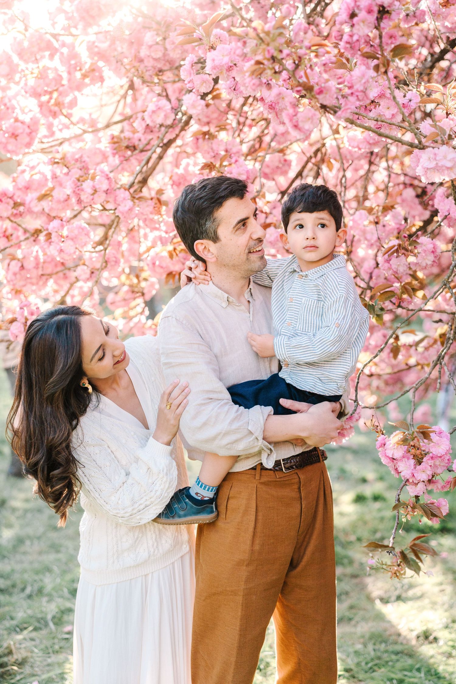 Family portrait under pink cherry blossom tree, parents holding toddler son in spring garden.
