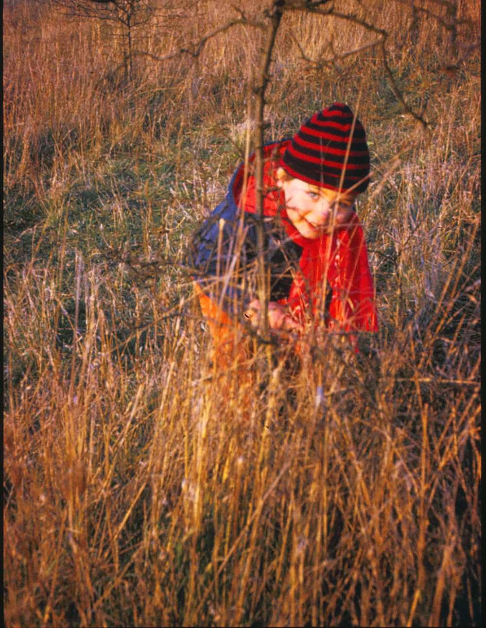 Personne portant un bonnet rayé rouge et noir, apparaissant à travers les hautes herbes d’automne sous la lumière dorée du soleil couchant.