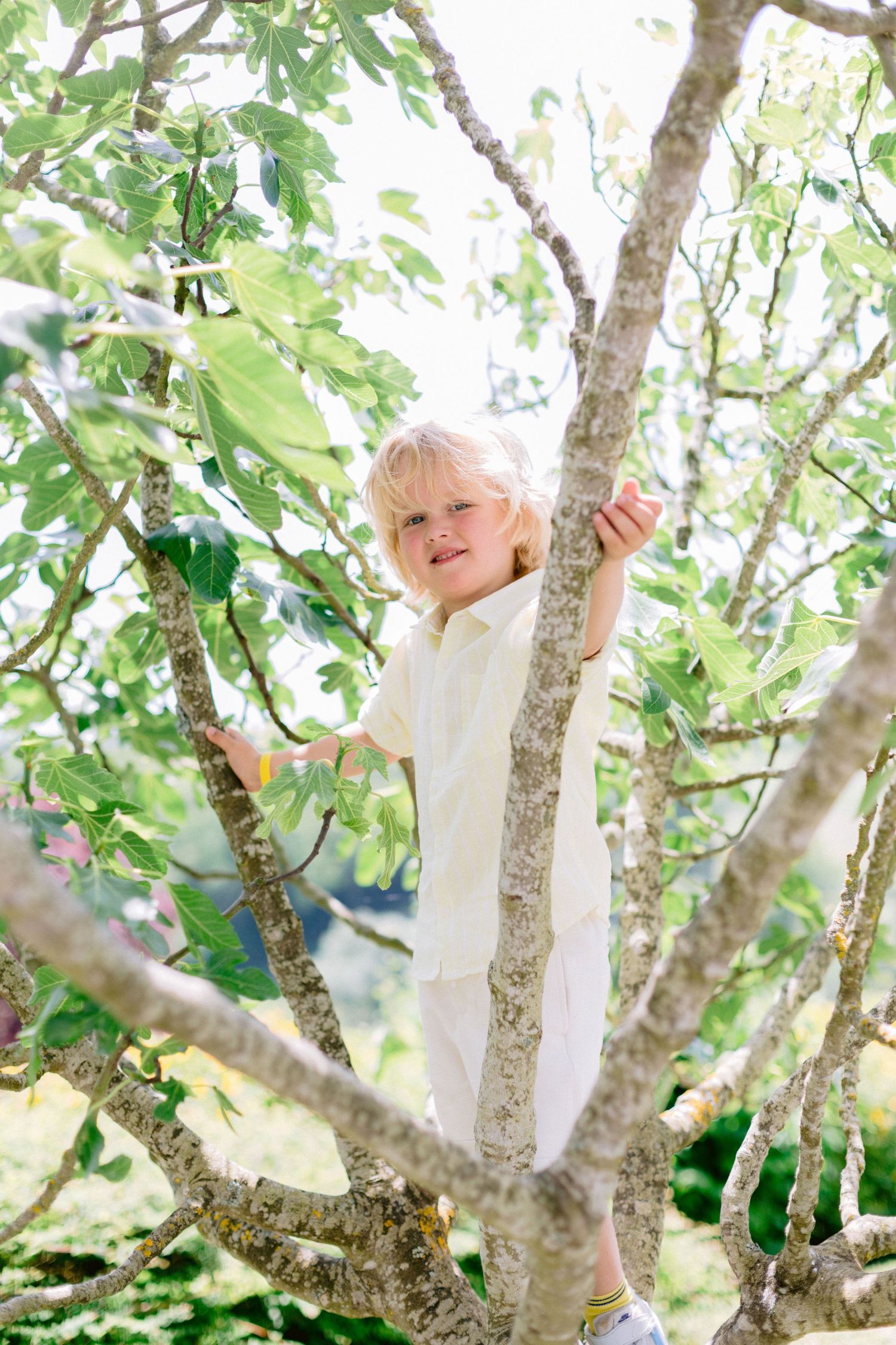A small child wearing white clothes climbs and plays in a leafy green tree on a sunny day.